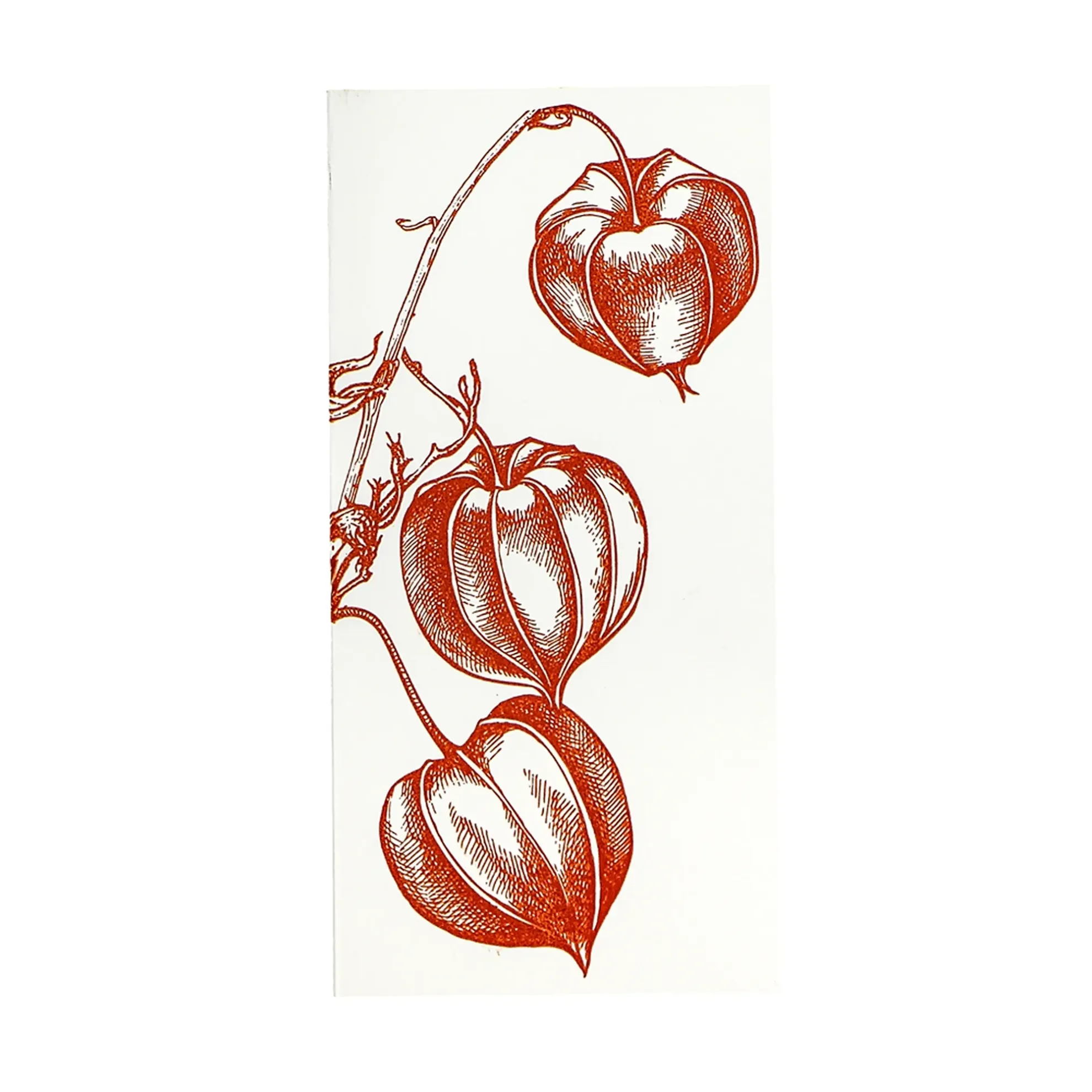 Grüßkarte CARD-PHYSALIS-DIN-lang