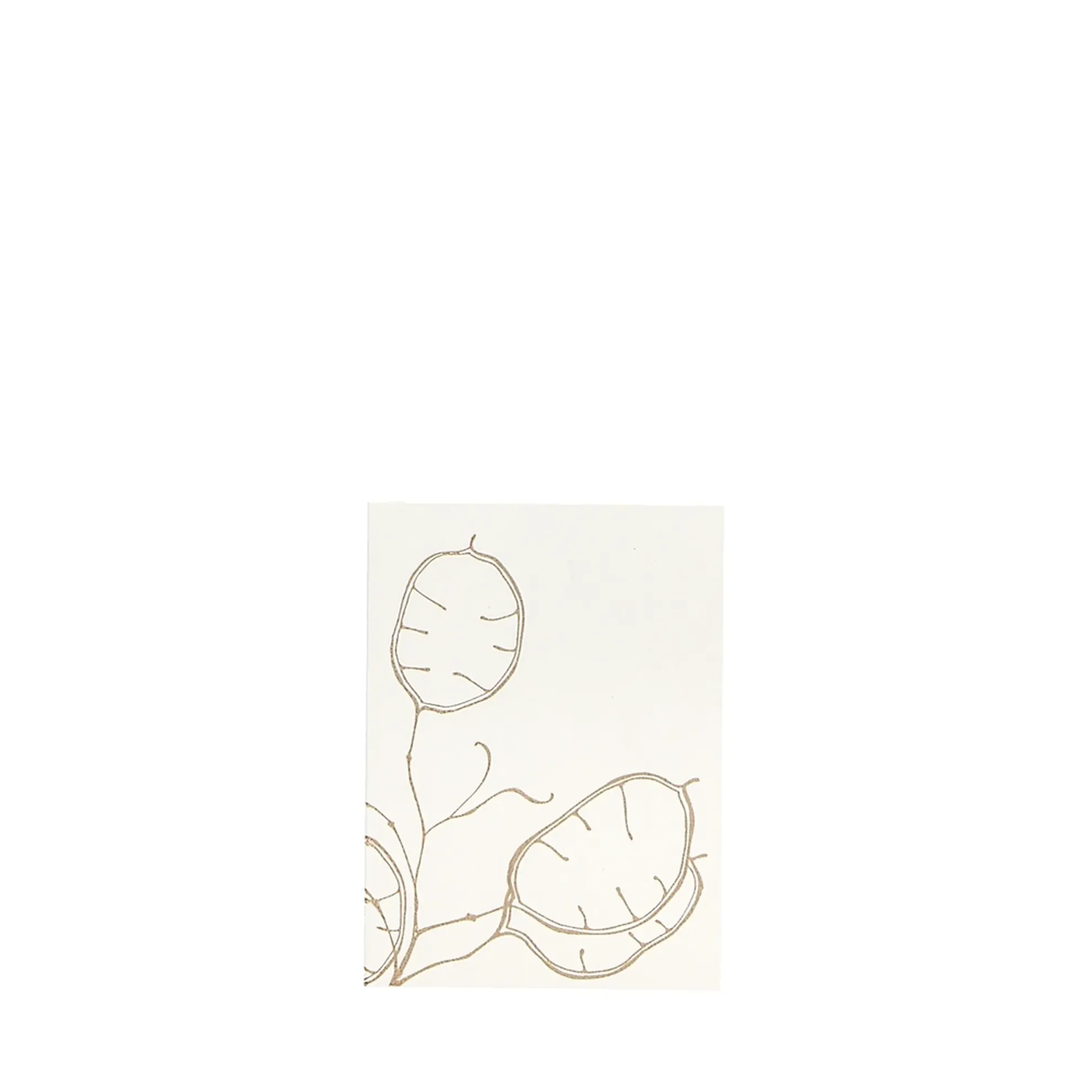 Grüßkarte CARD-LUNARIA-DIN-small