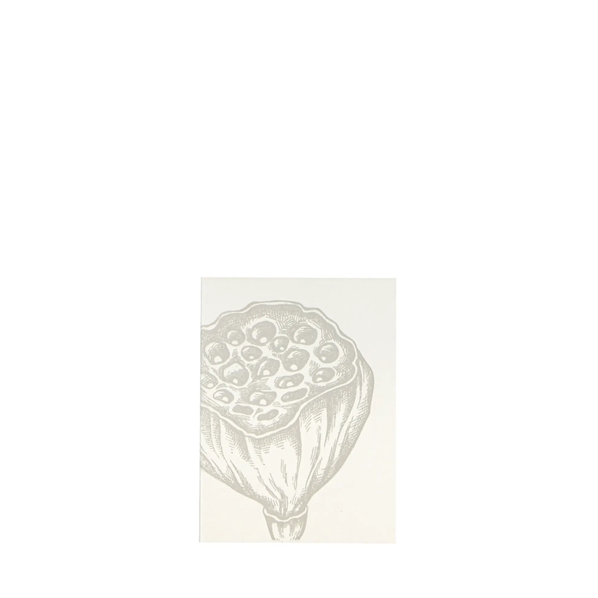 Grüßkarte CARD-LOTUS-DIN-small