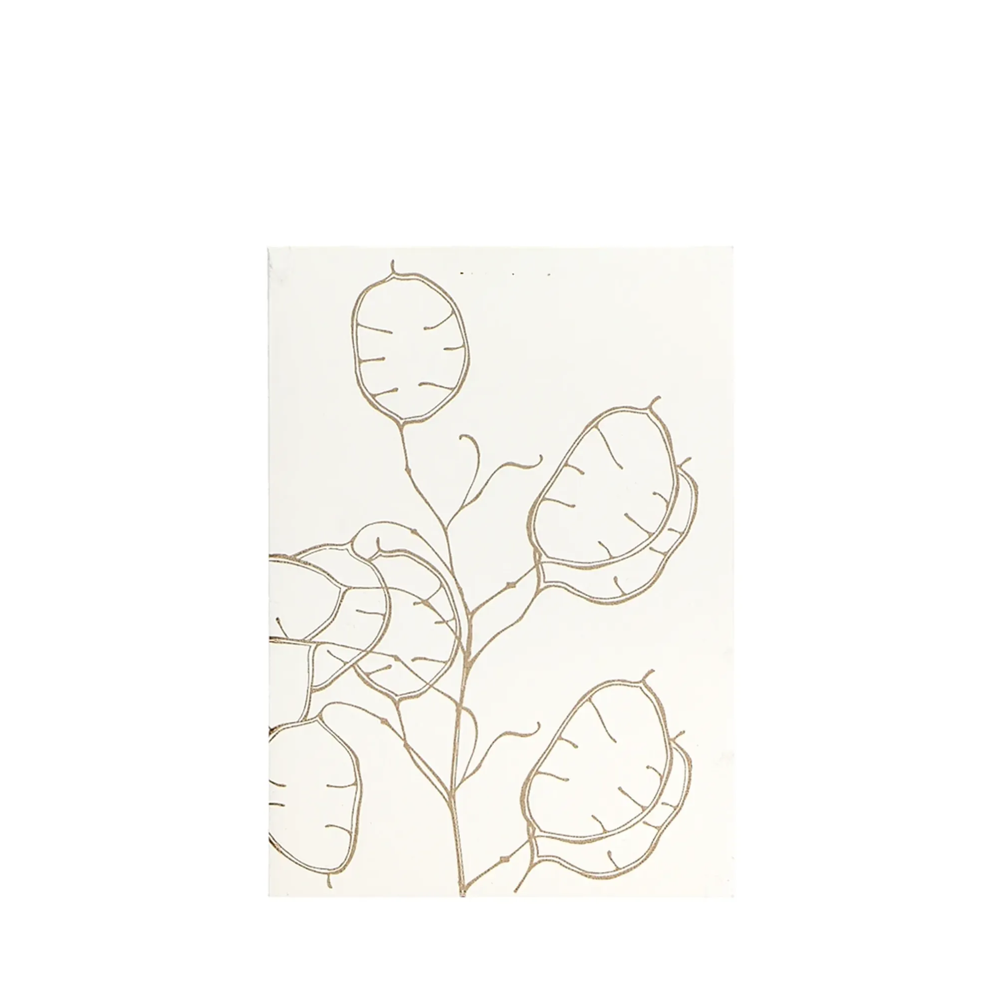 Grüßkarte CARD-LUNARIA-DIN-B6