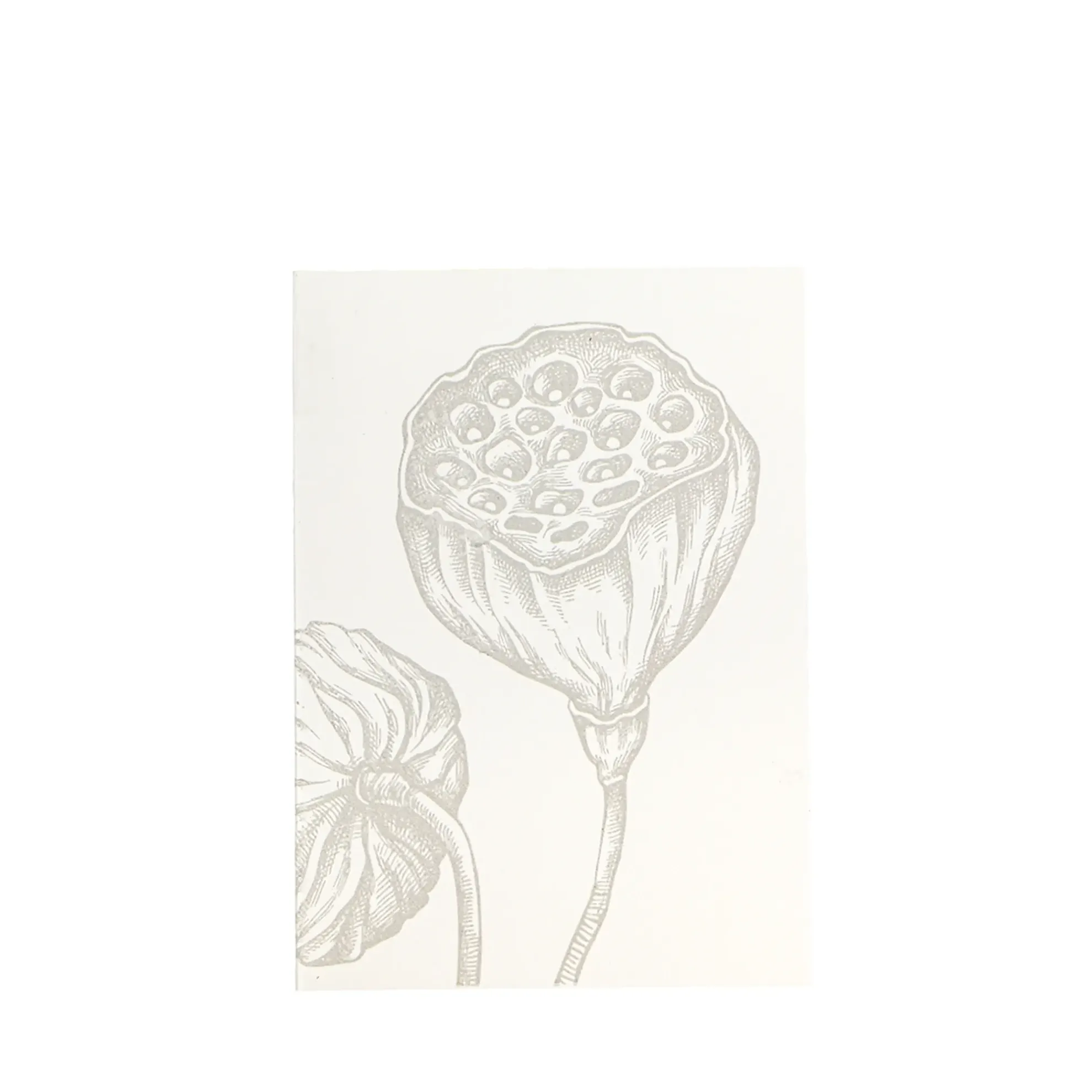 Grüßkarte CARD-LOTUS-DIN-B6