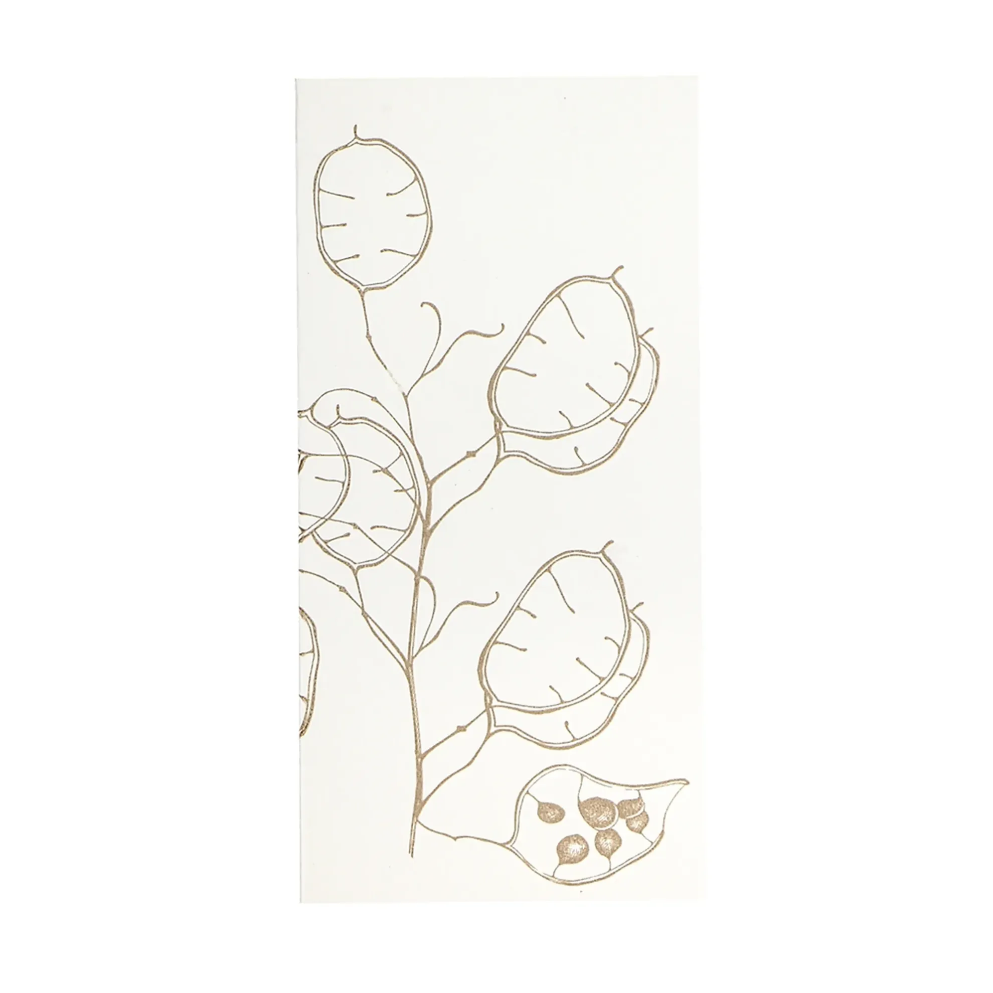 Grüßkarte CARD-LUNARIA-DIN-lang