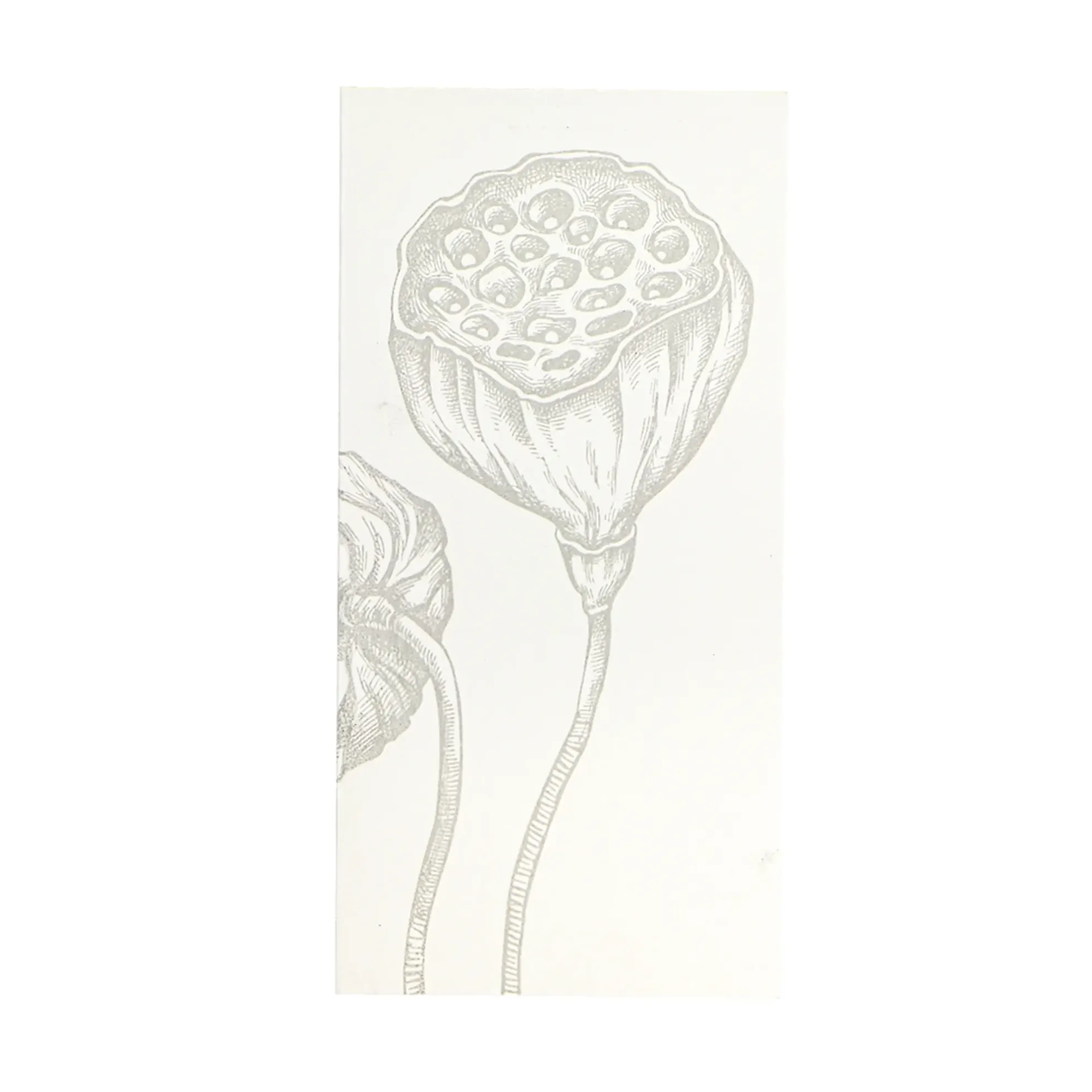 Grüßkarte CARD-LOTUS-DIN-lang