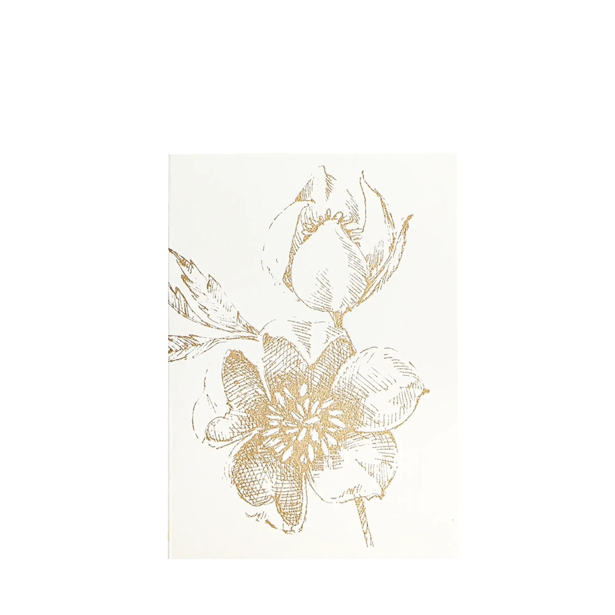 Grüßkarte CARD-HELLEBORUS-DIN-B6