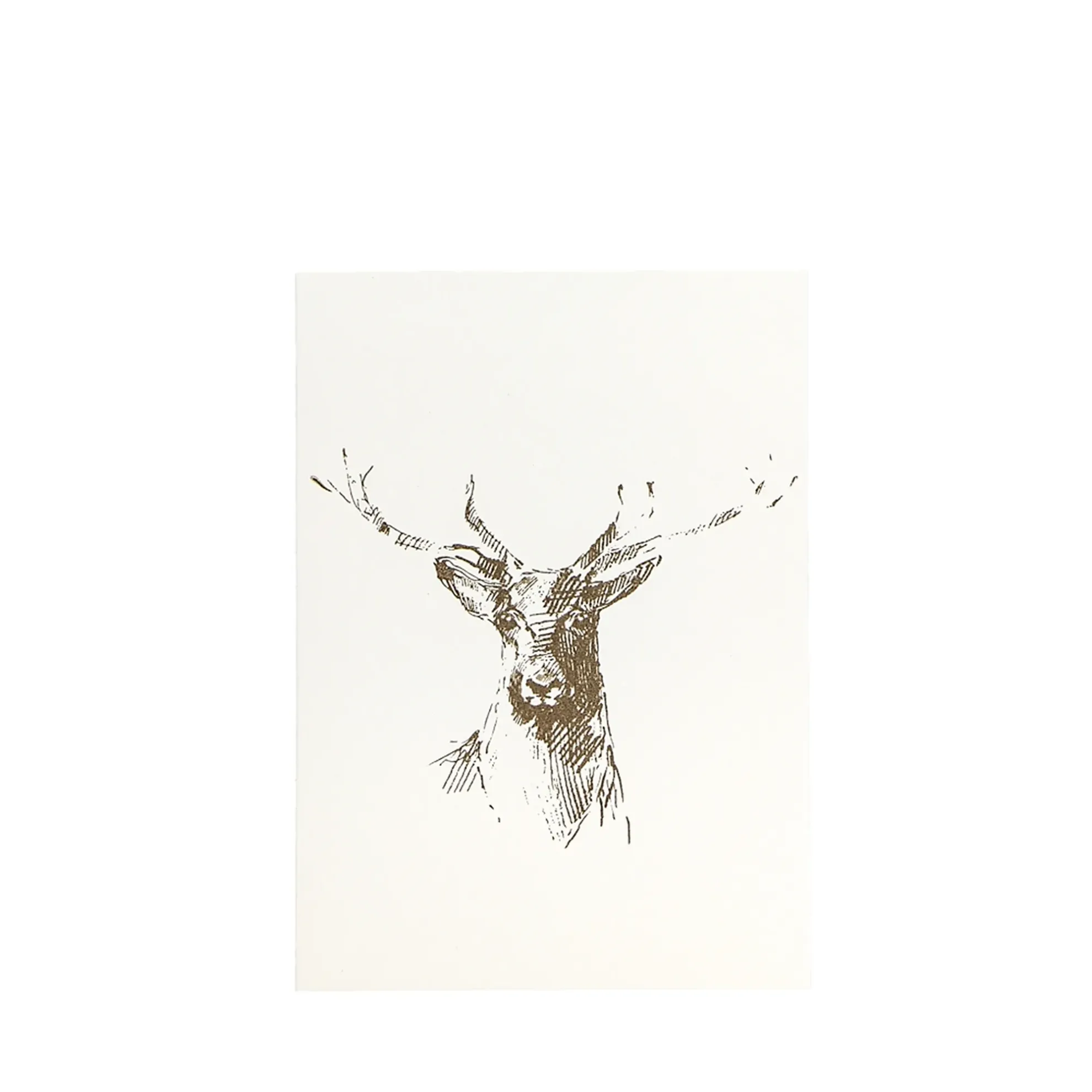 Grüßkarte CARD-DEERSCETCH-DIN-B6