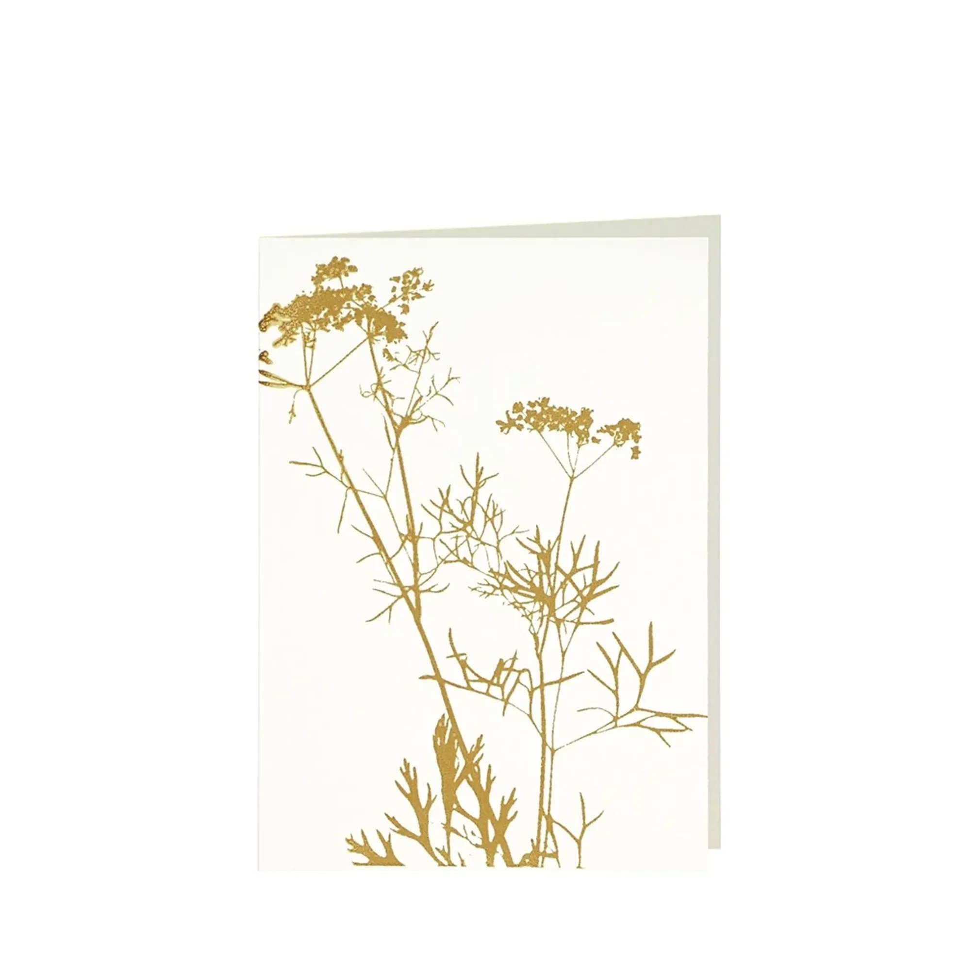 Grüßkarte CARD-ANETHUM-DIN-B6 (12,5 x 17,6 )