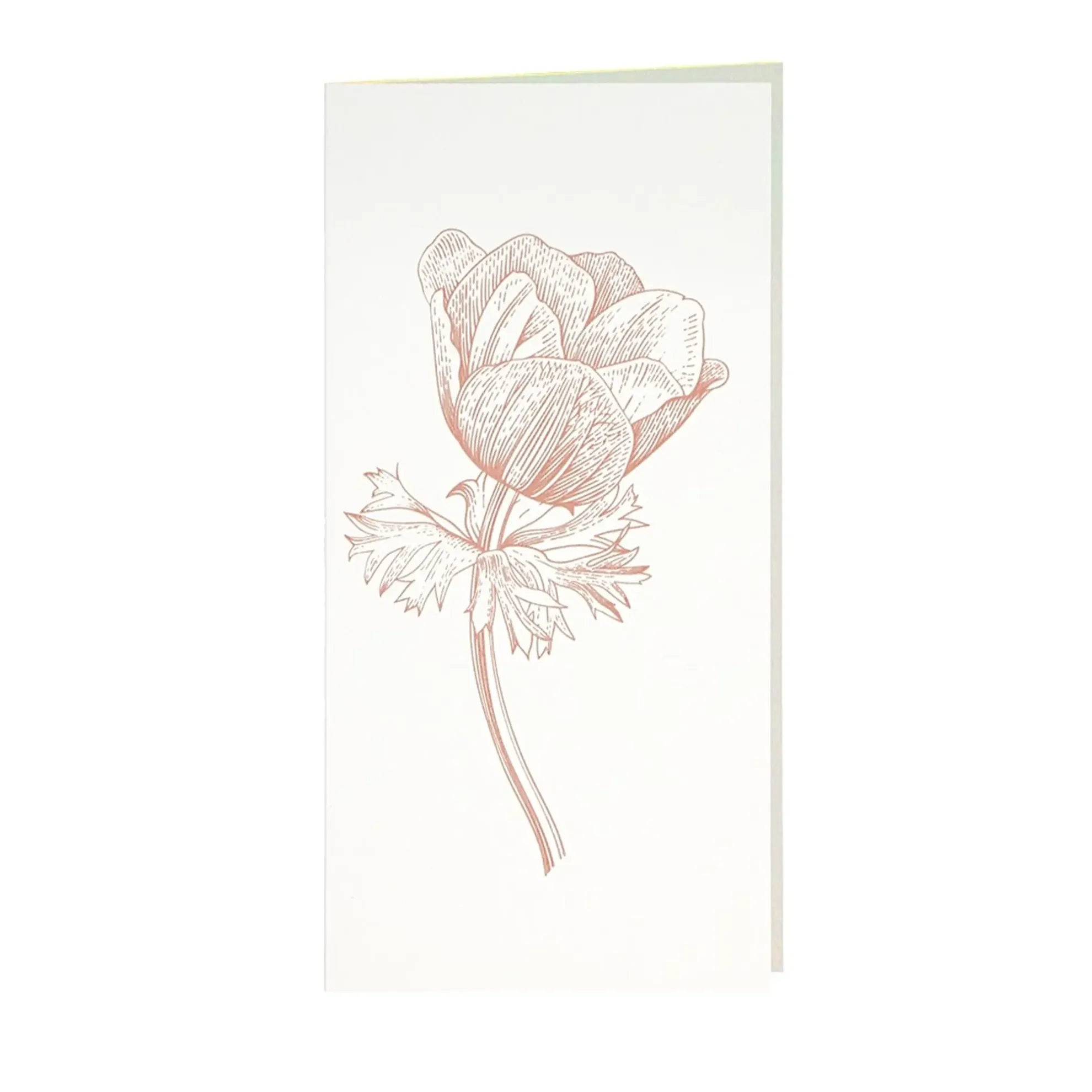 Grüßkarte CARD-ANEMONE-DIN-lang (10,5 x 21)