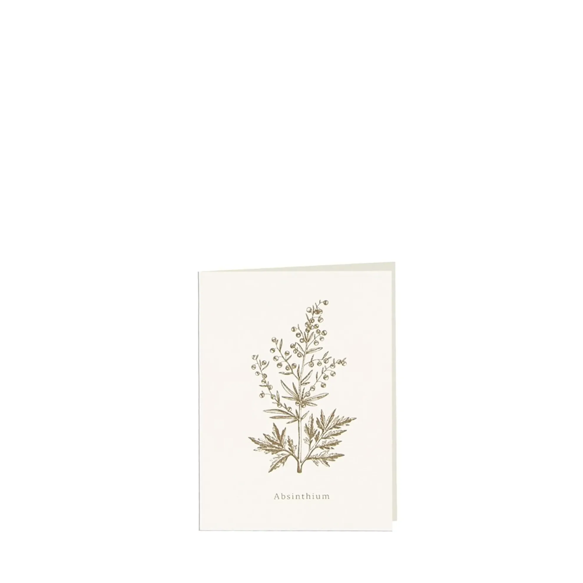 Grüßkarte CARD-ABSINTHIUM-small (9 x 12 )