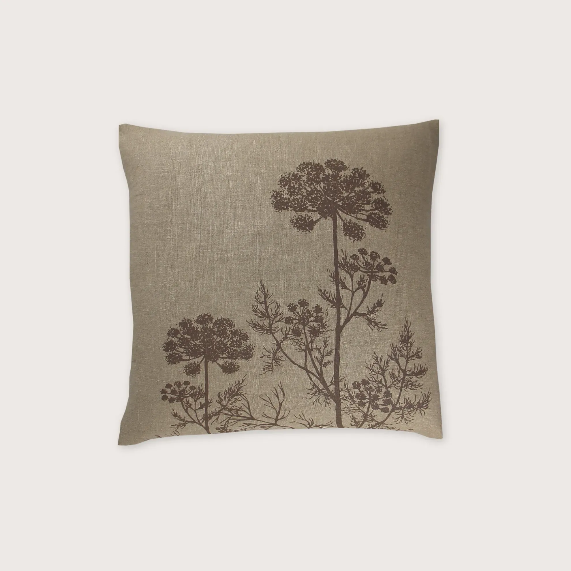 Kissen APIACEAE/se
