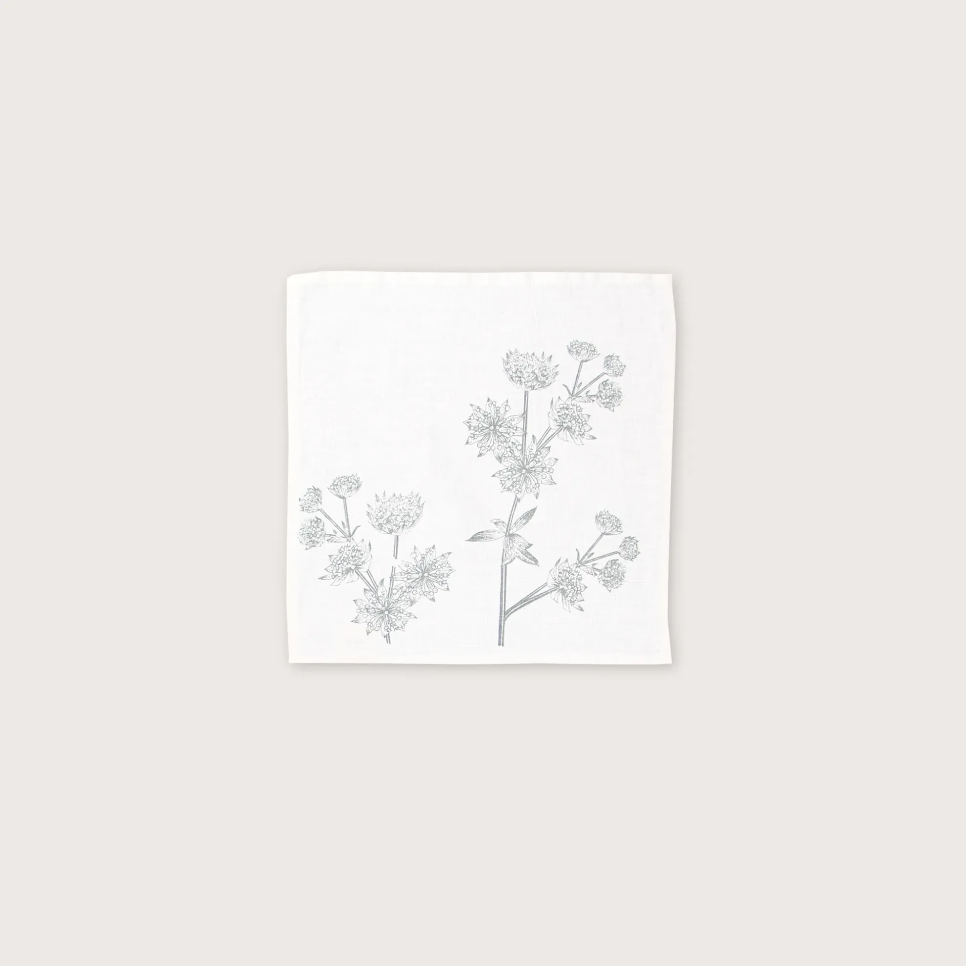 Serviette ASTRANTIA/w-u