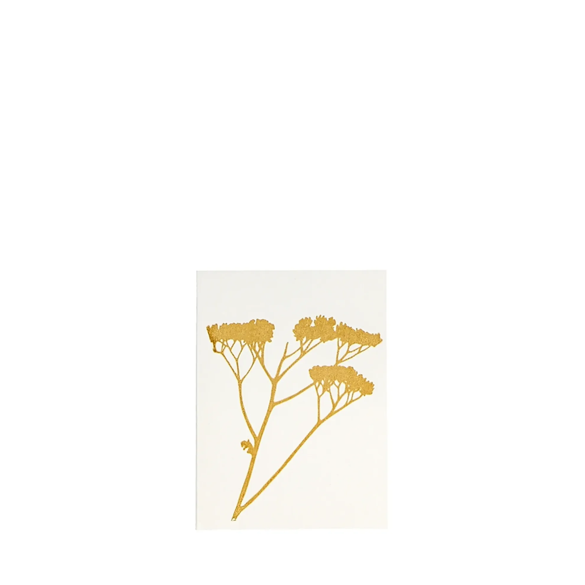 Grüßkarte CARD-YARROW-DIN-small