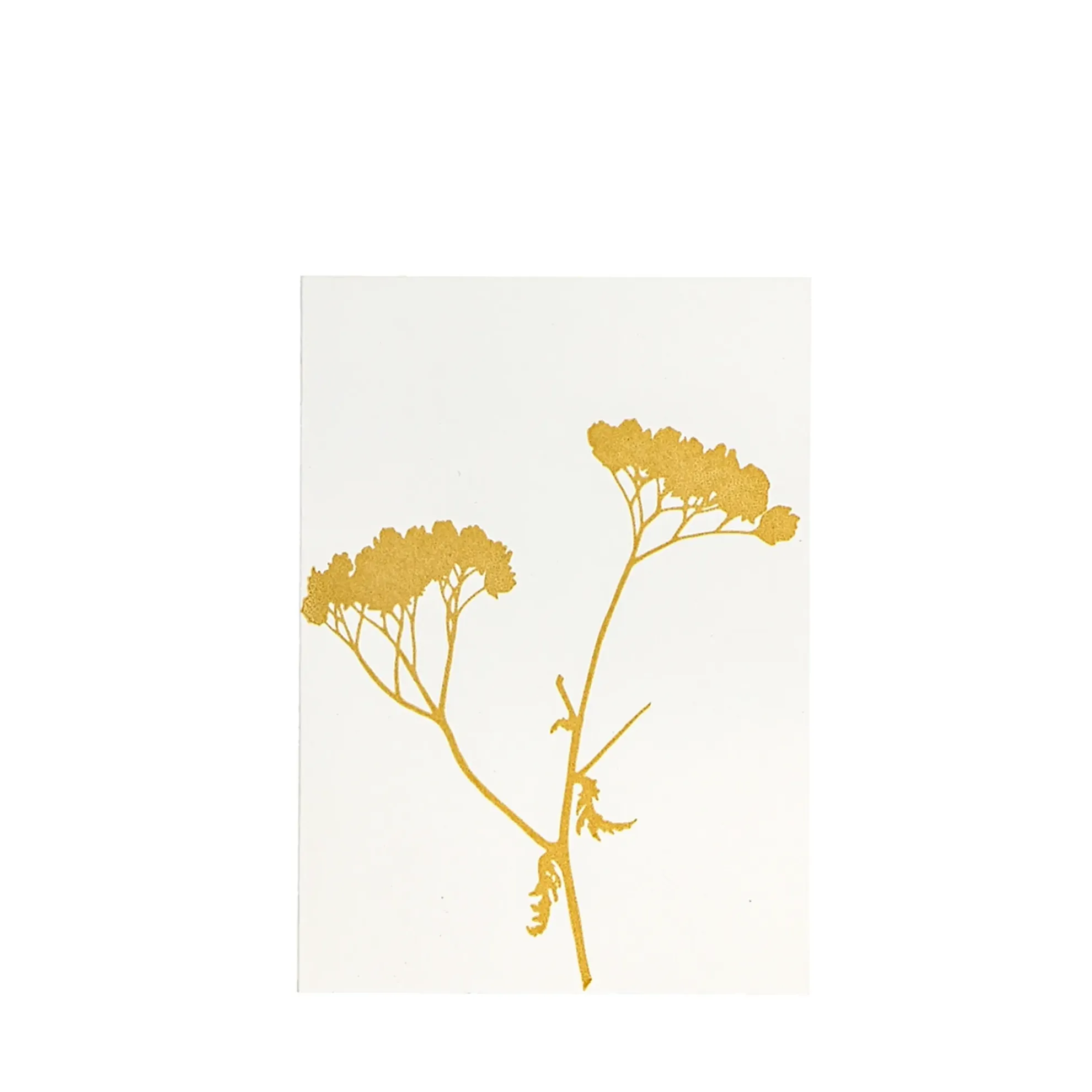 Grüßkarte CARD-YARROW-DIN-B6