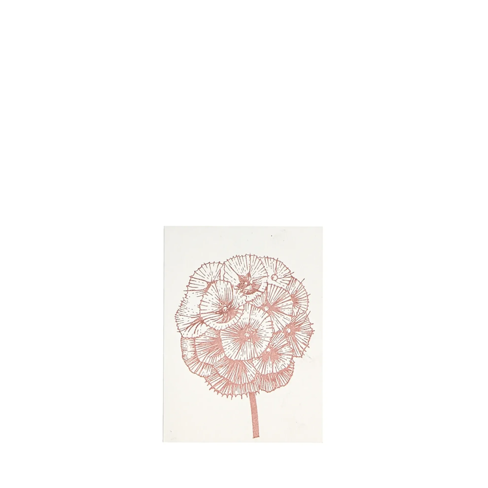 Grüßkarte CARD-SCABIOSA-DIN-small