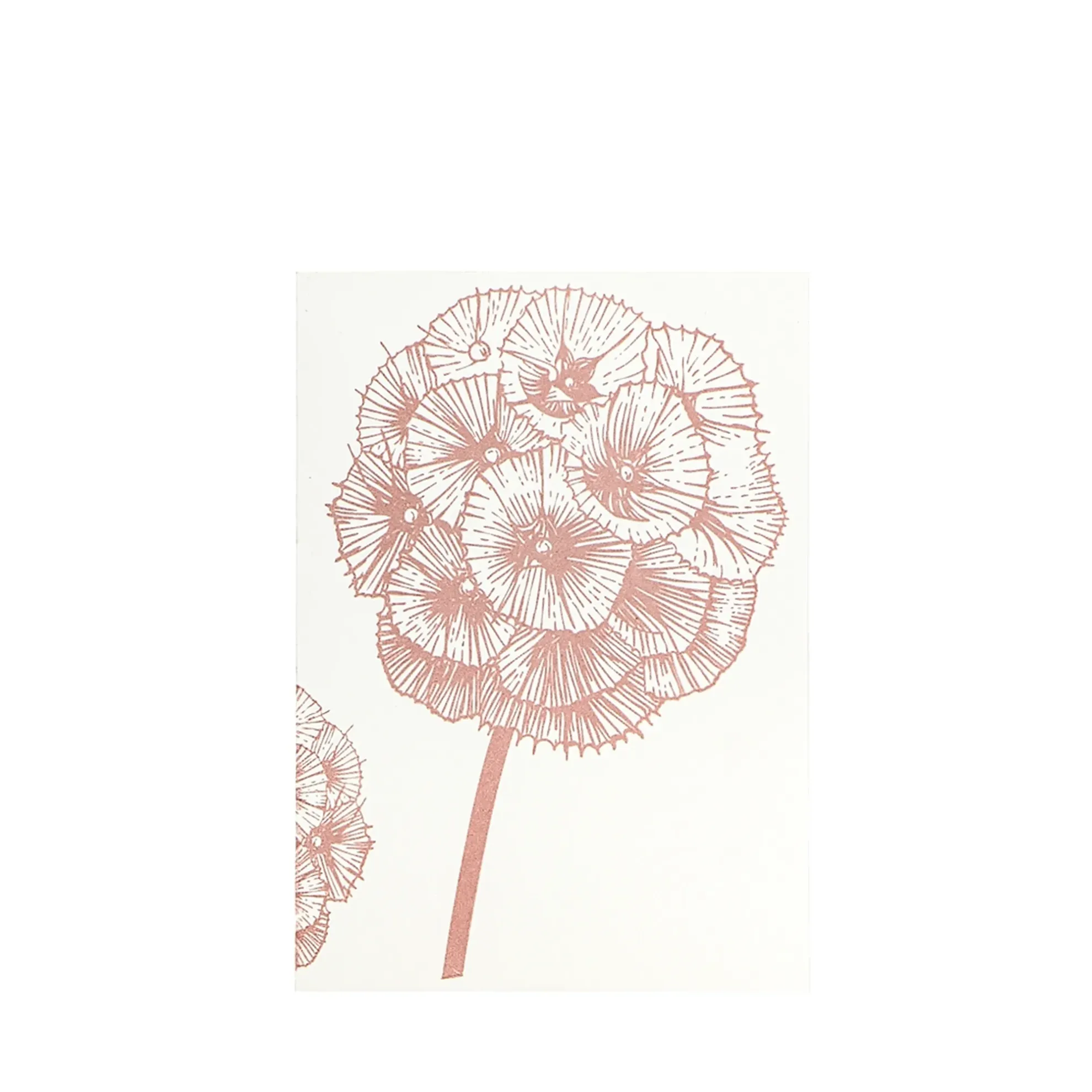 Grüßkarte CARD-SCABIOSA-DIN-B6