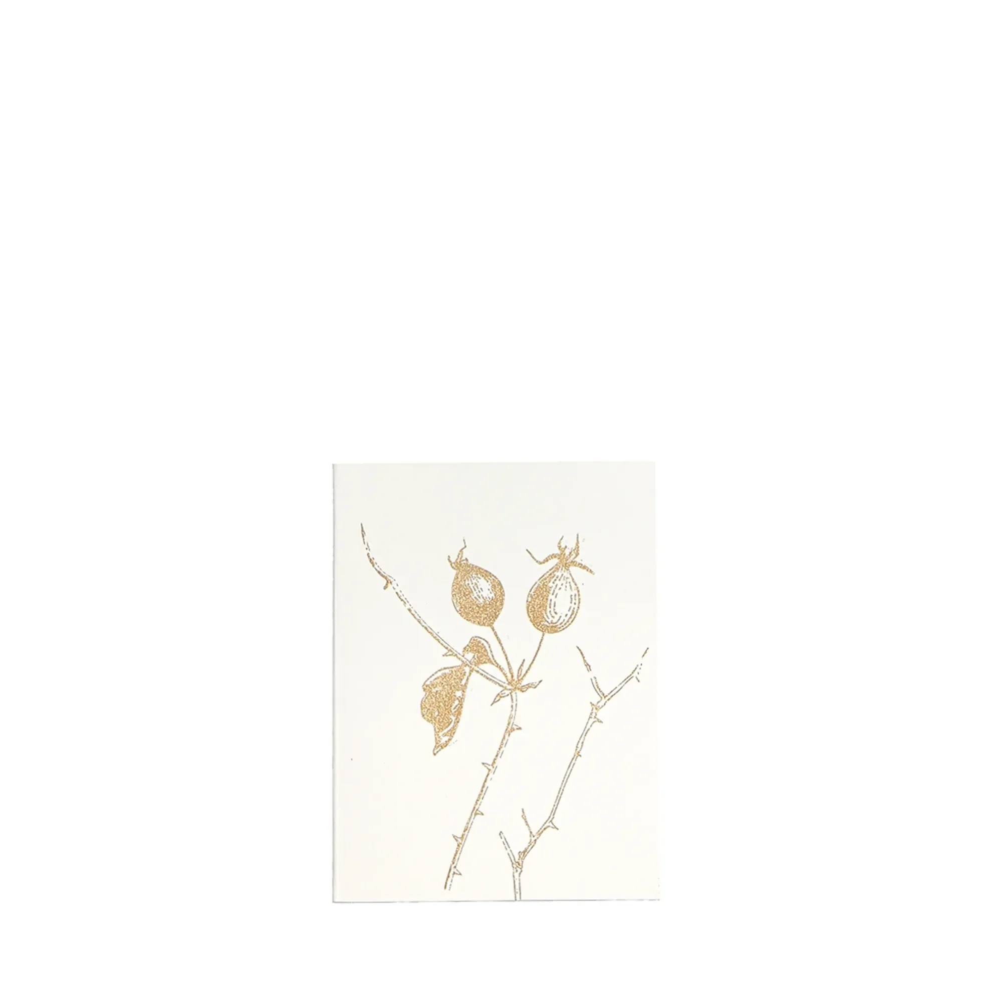 Grüßkarte CARD-ROSEHIP-small