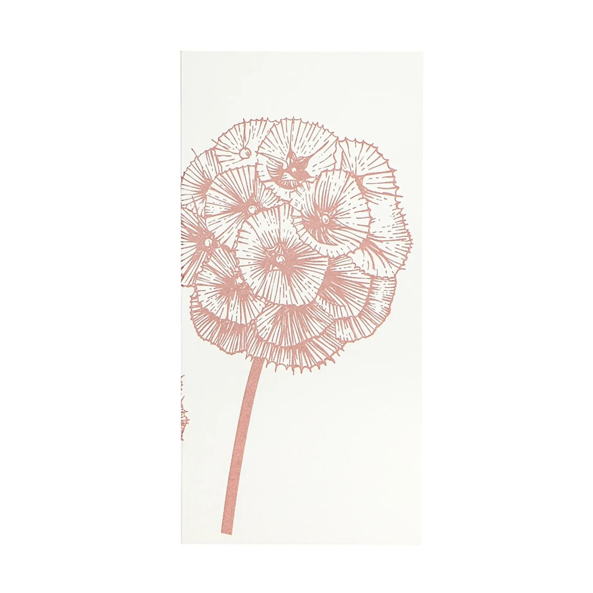 Grüßkarte CARD-SCABIOSA-DIN-lang