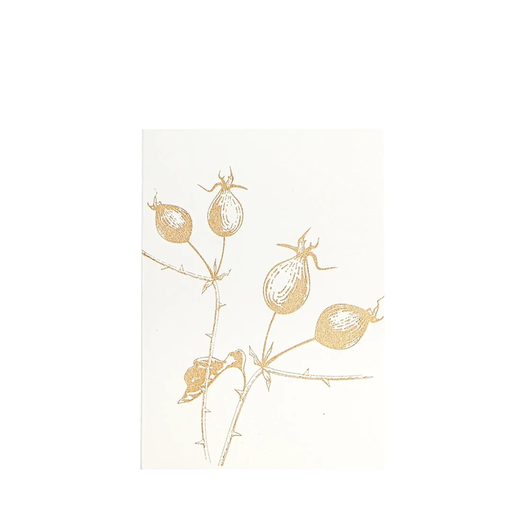 Grüßkarte CARD-ROSEHIP-DIN-B6