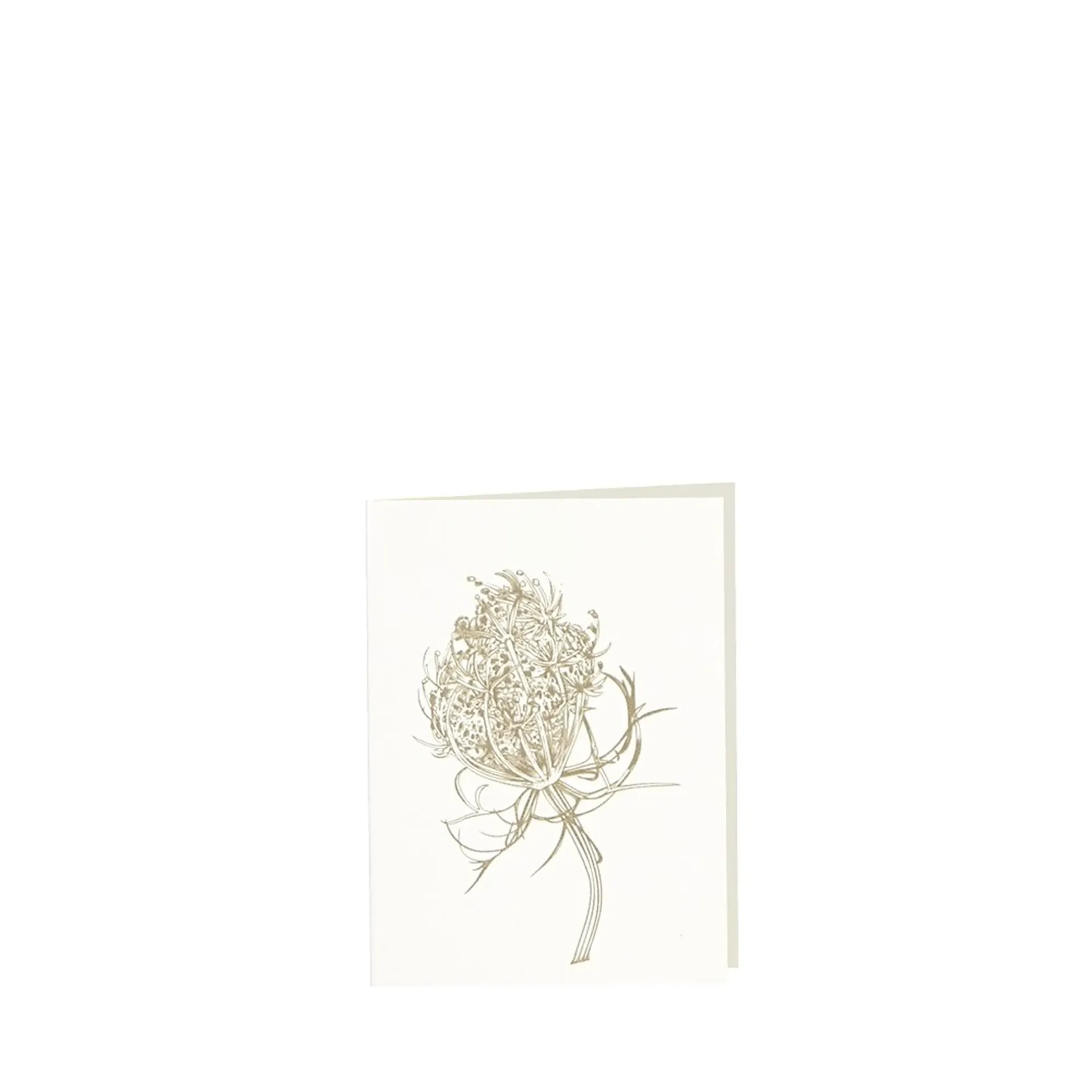 Grüßkarte CARD-QUEENANNE-small (9 x 12 )