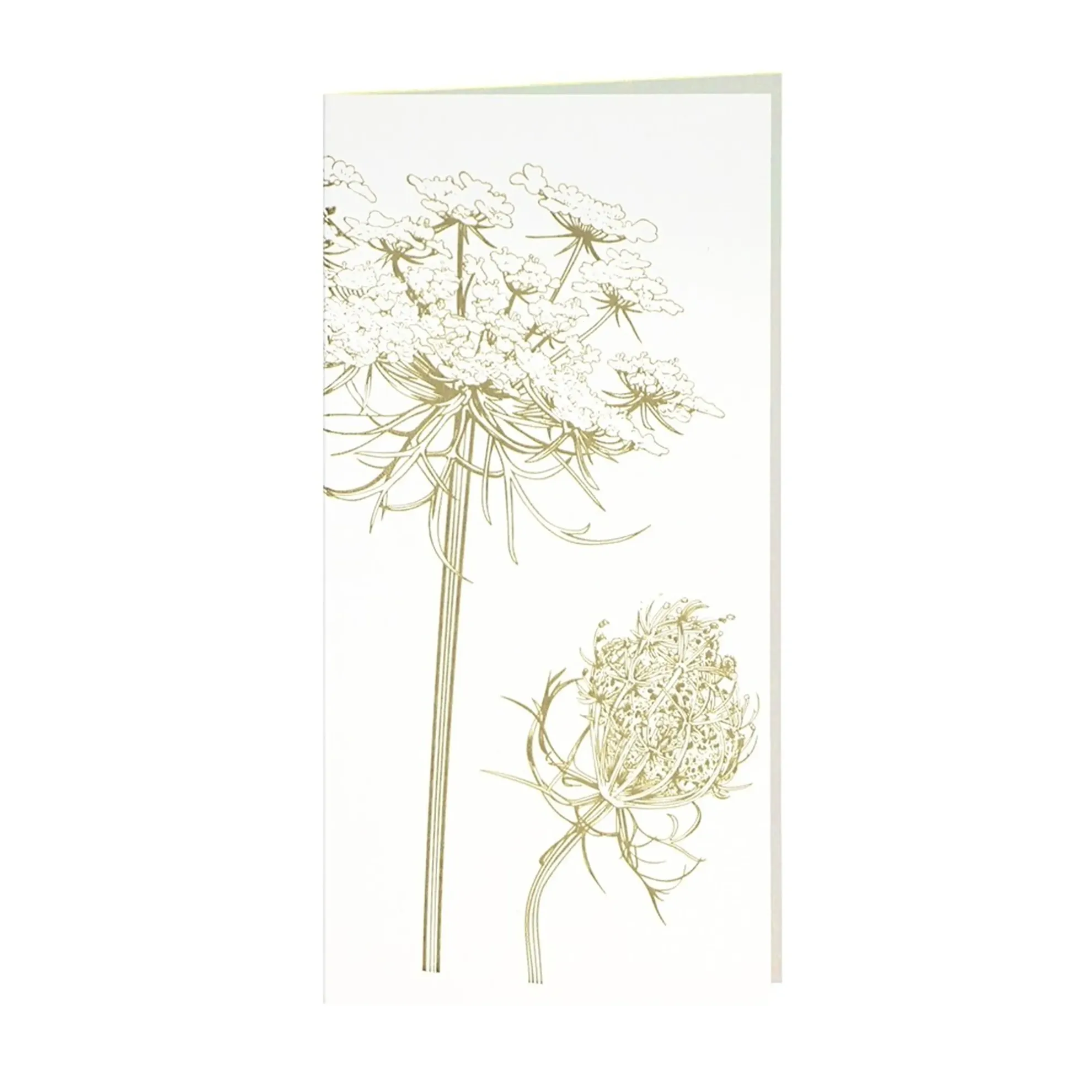 Grüßkarte CARD-QUEENANNE-DIN-lang (10,5 x 21)
