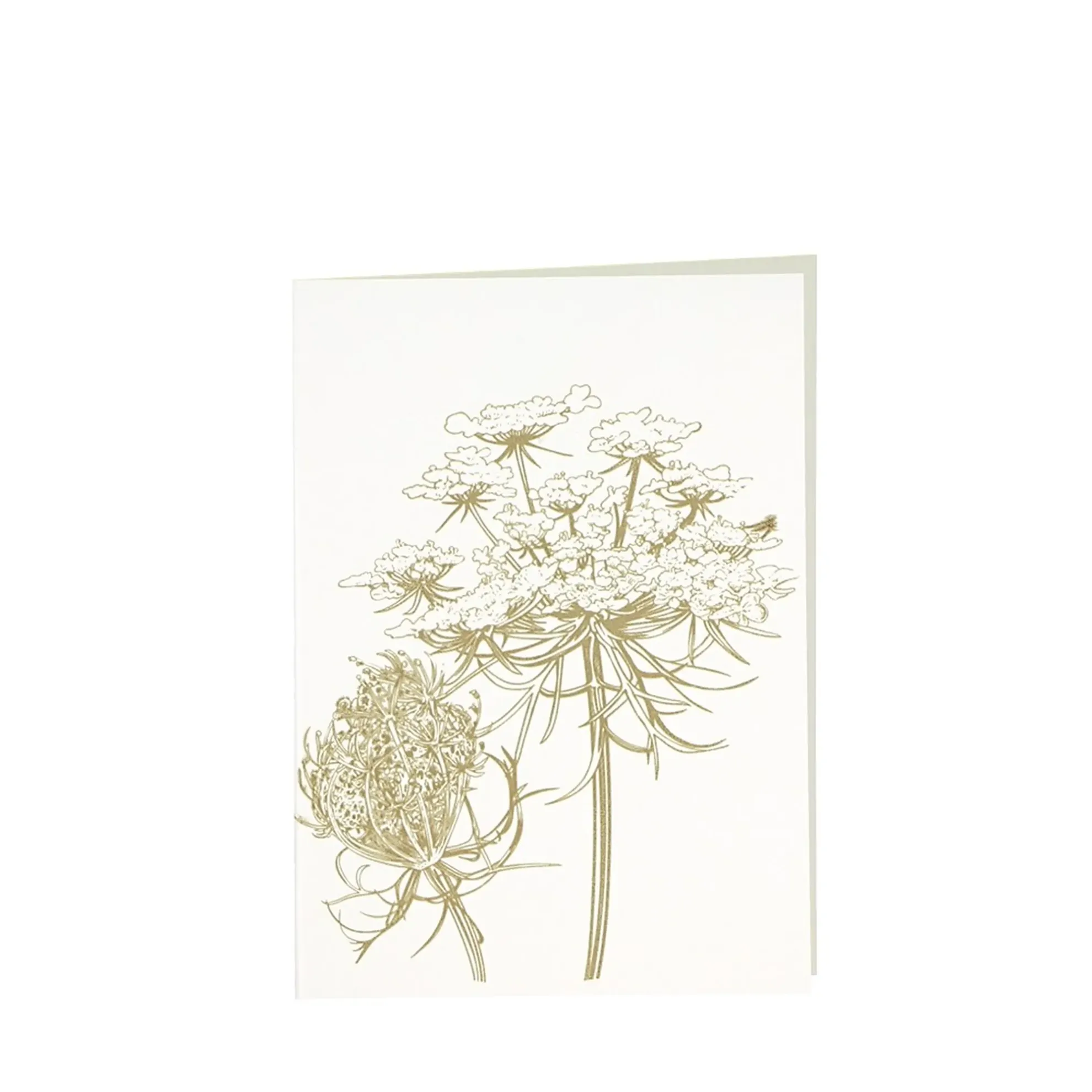 Grüßkarte CARD-QUEENANNE-DIN-B6 (12,5 x 17,6 )