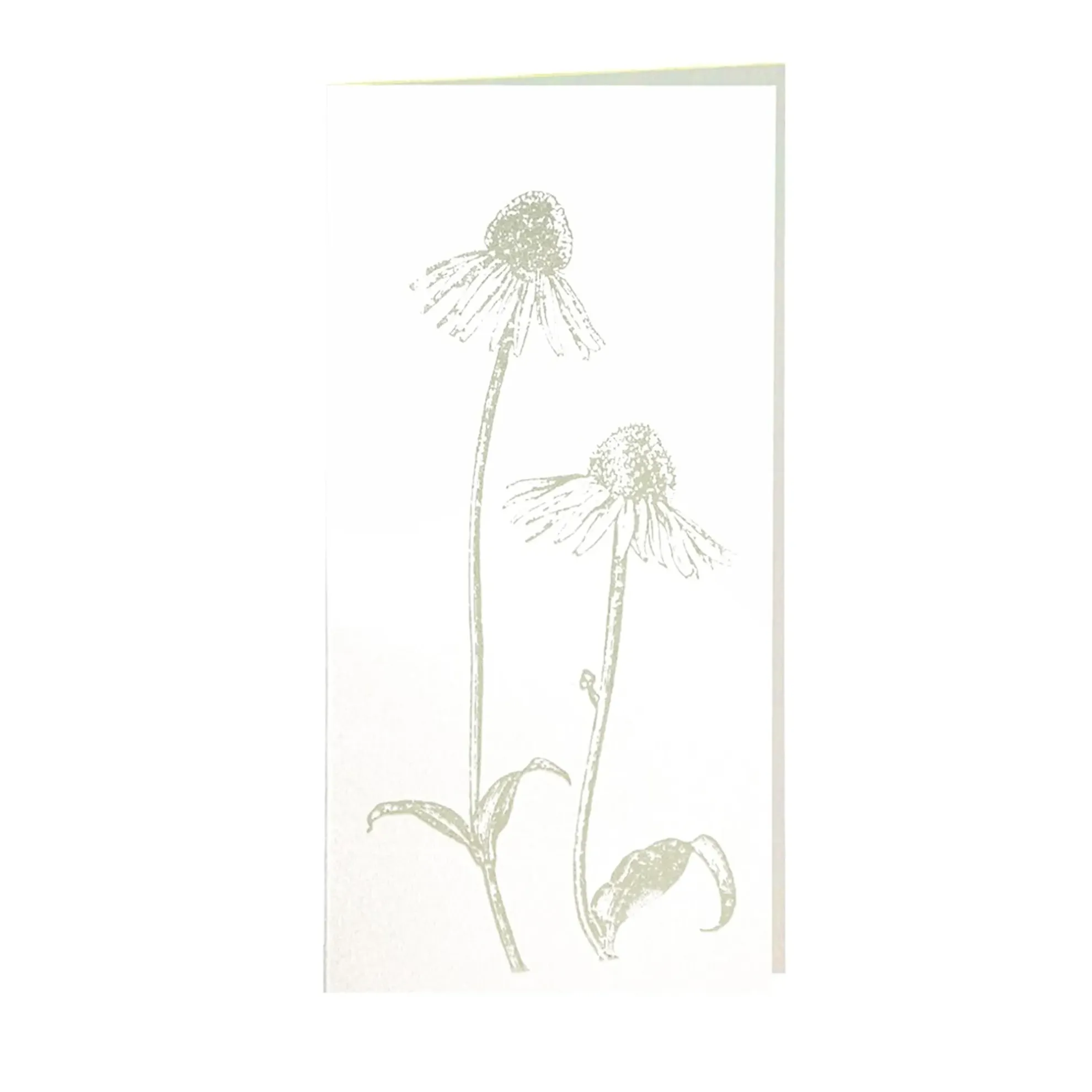 Grüßkarte CARD-ECHI-DIN-lang (10,5 x 21)