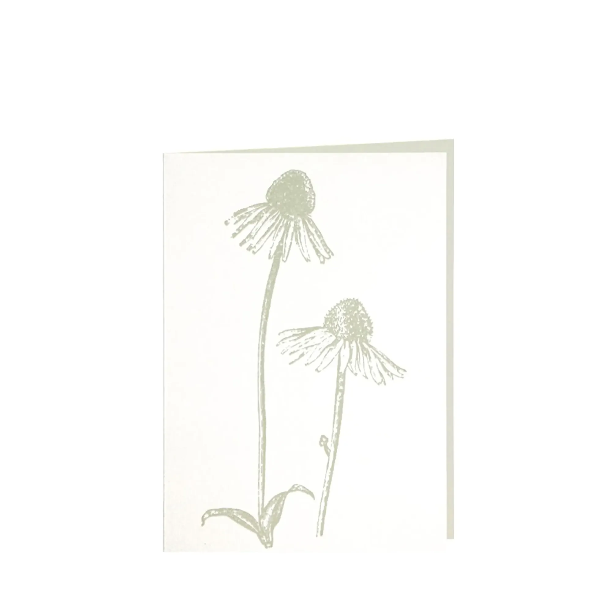 Grüßkarte CARD-ECHI-DIN-B6 (12,5 x 17,6 )