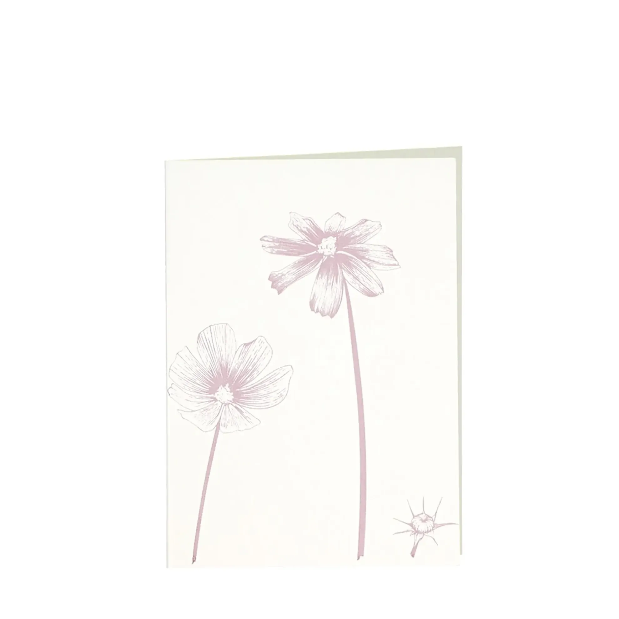 Grüßkarte CARD-COSMEA-DIN-B6 (12,5 x 17,6 )
