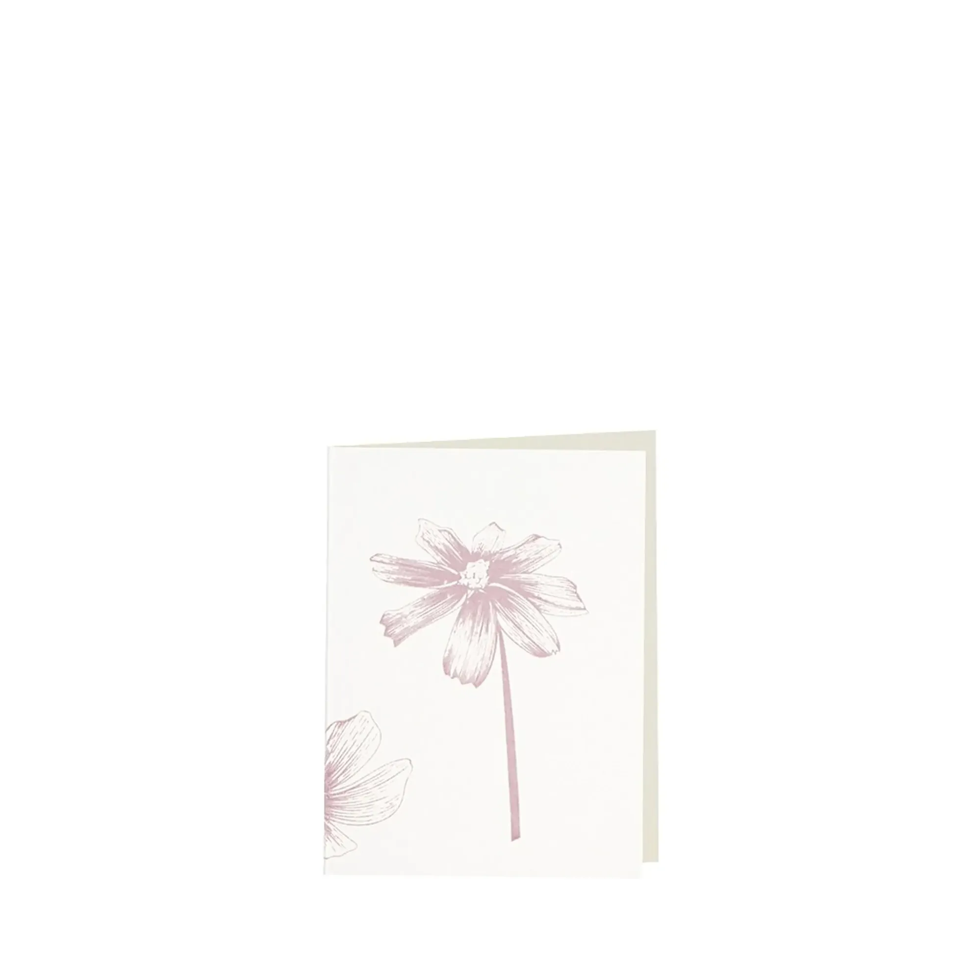 Grüßkarte CARD-COSMEA-small (9 x 12 )