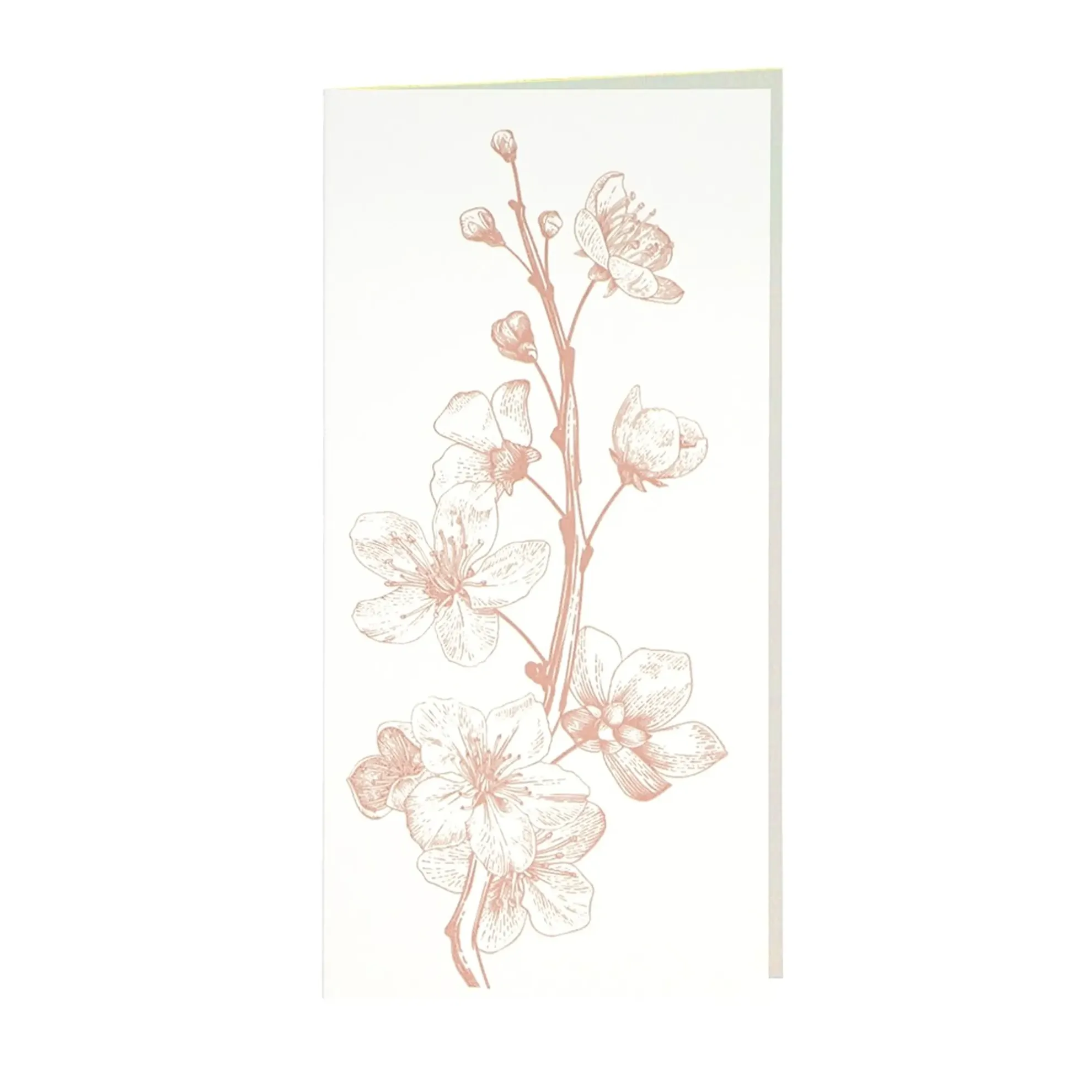 Grüßkarte CARD-CHERRY-DIN-lang (10,5 x 21)