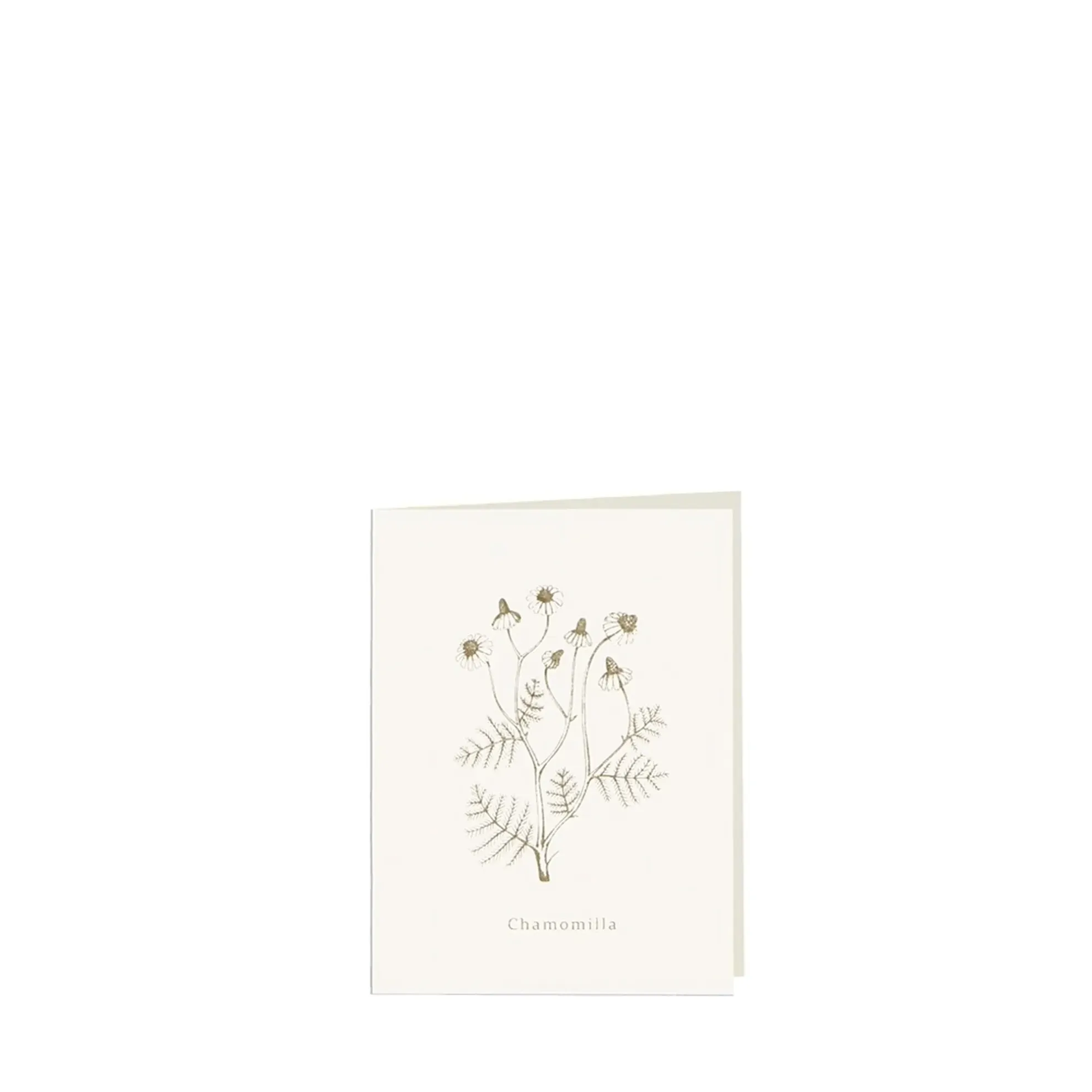Grüßkarte CARD-CHAMOMILLA-small (9 x 12 )
