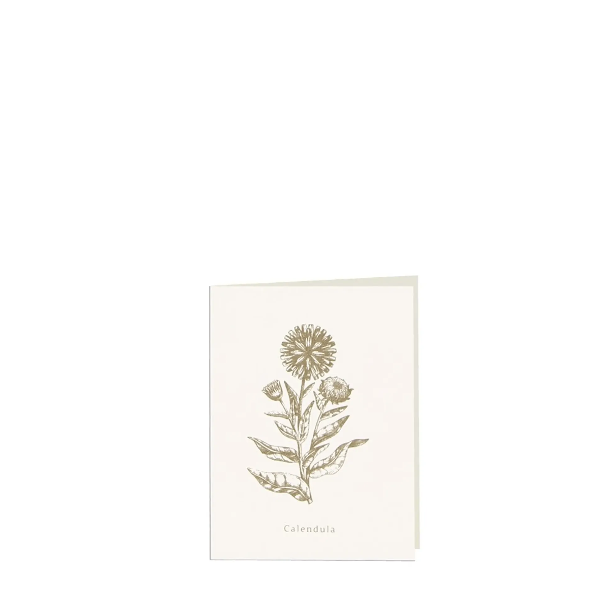 Grüßkarte CARD-CALENDULA-small (9 x 12 )