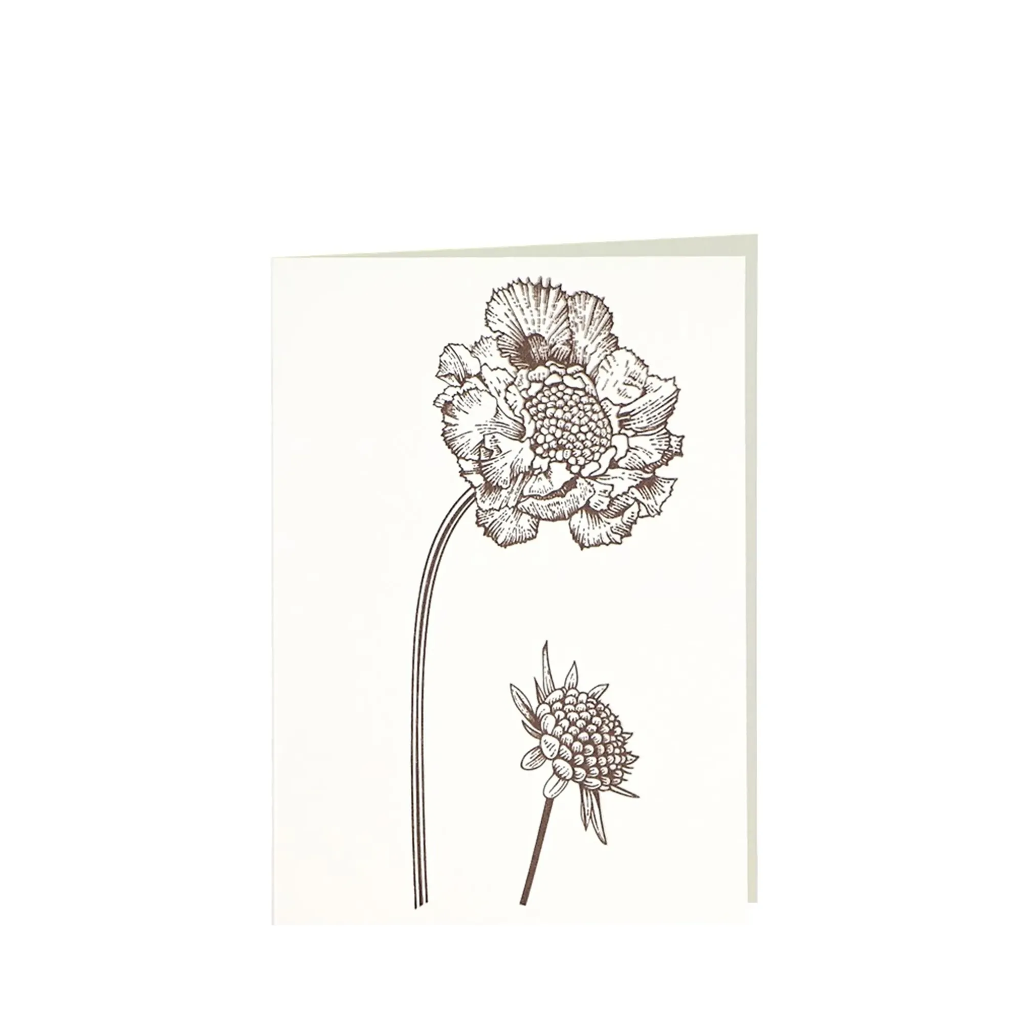 Grüßkarte CARD-BS-DIN-B6 (12,5 x 17,6 )