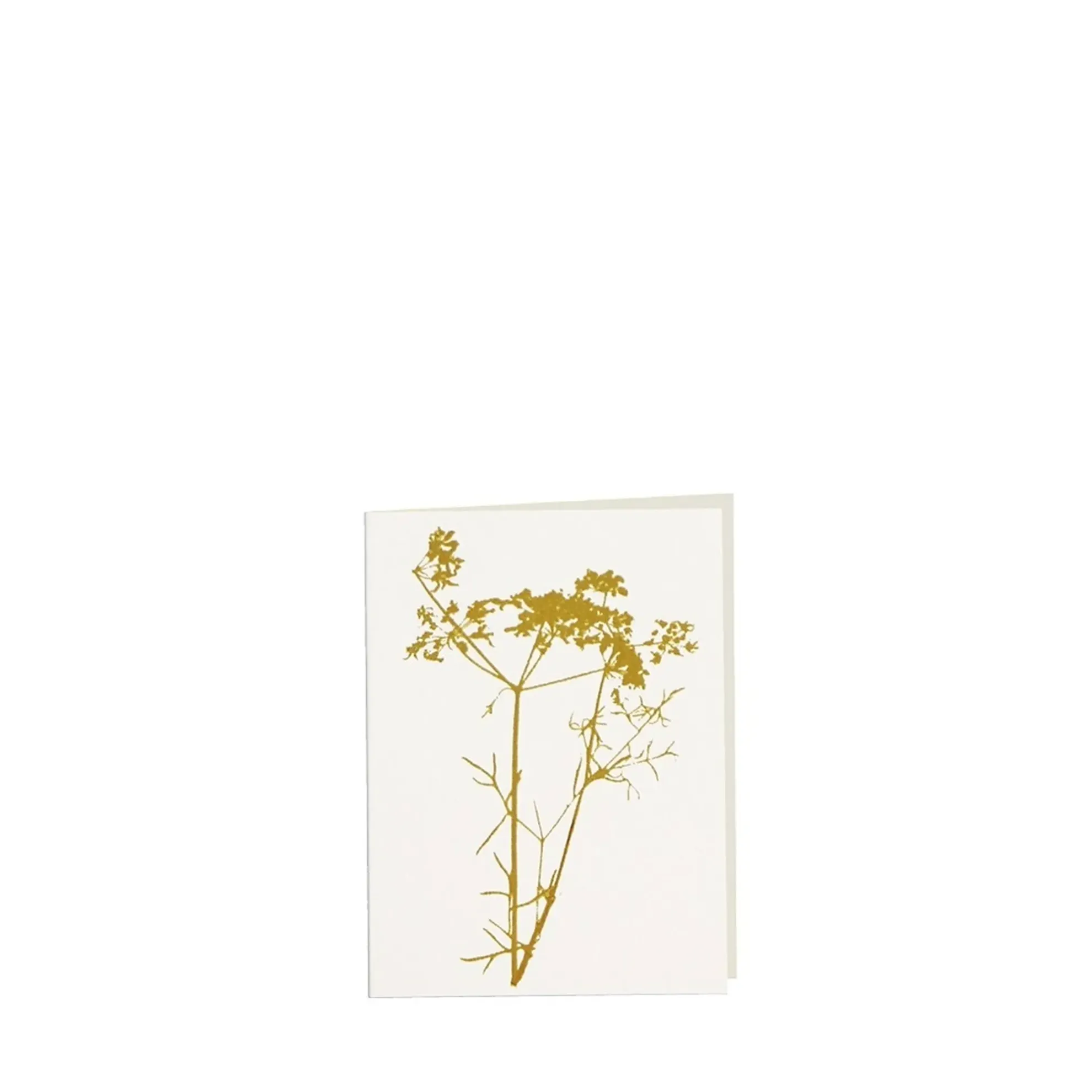 Grüßkarte CARD-ANETHUM-small (9 x 12 )