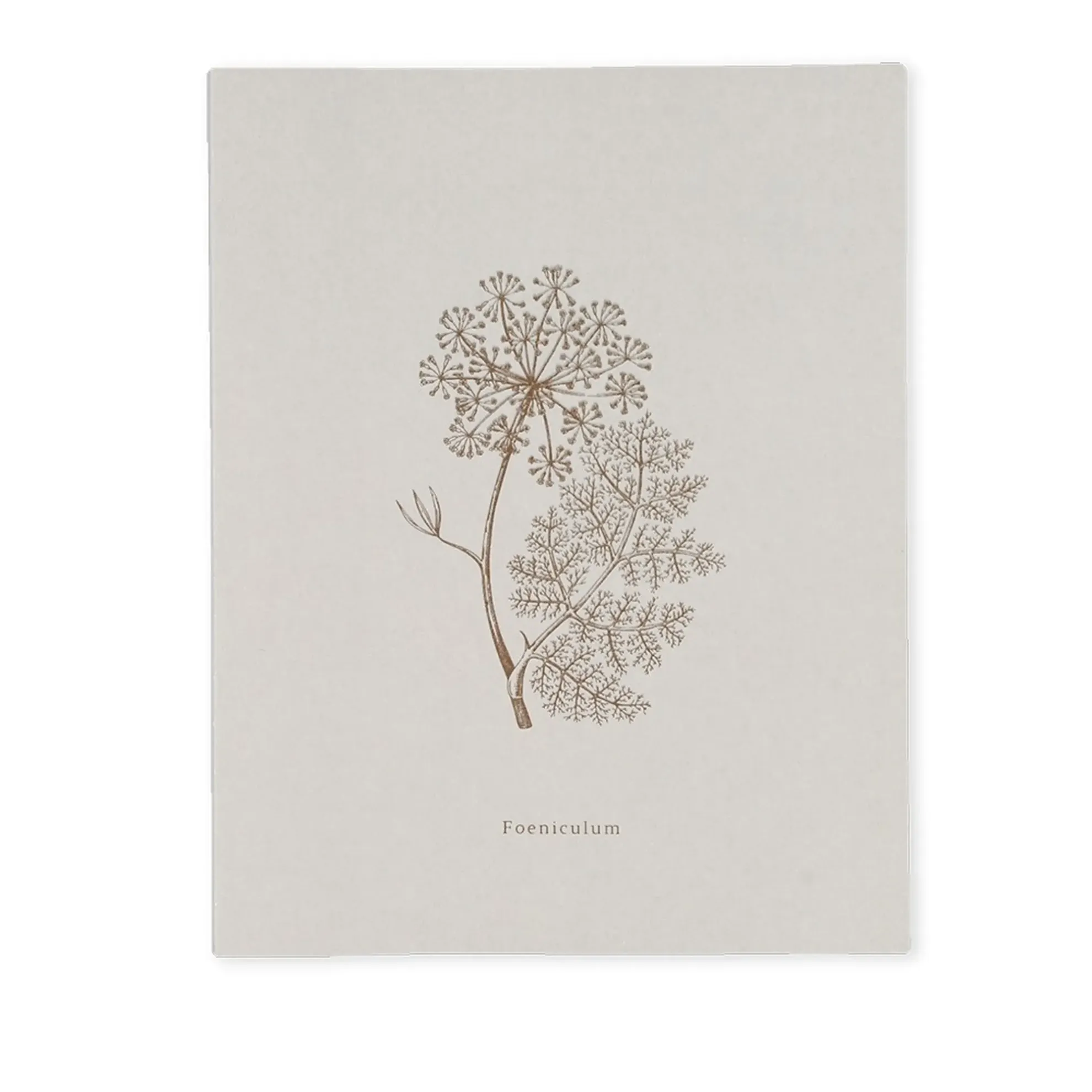 Notizbuch BOOK-FOENICULUM (18 x 23)