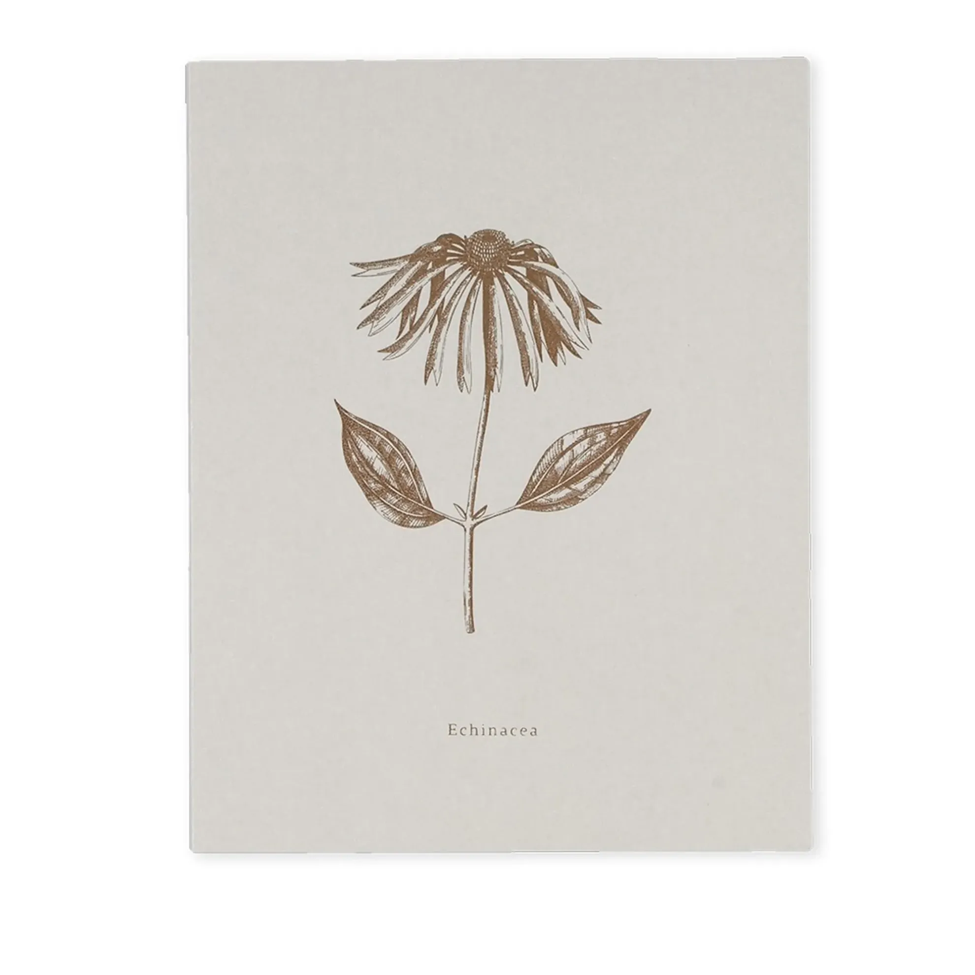 Notizbuch BOOK-ECHINACEA (18 x 23)
