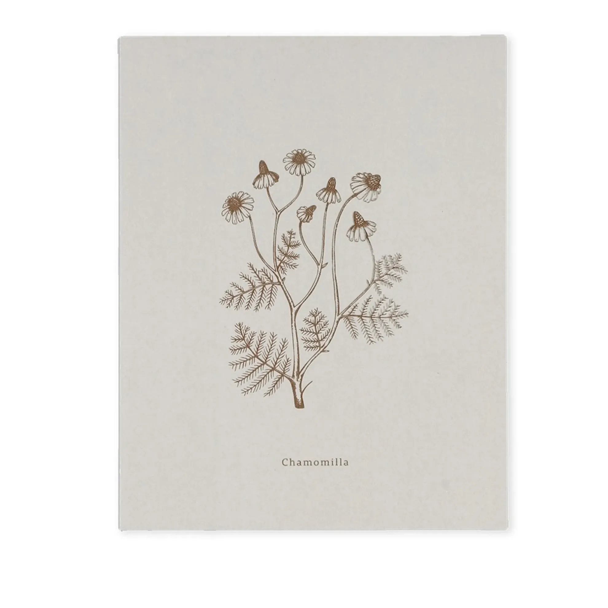 Notizbuch BOOK-CHAMOMILLA (18 x 23)