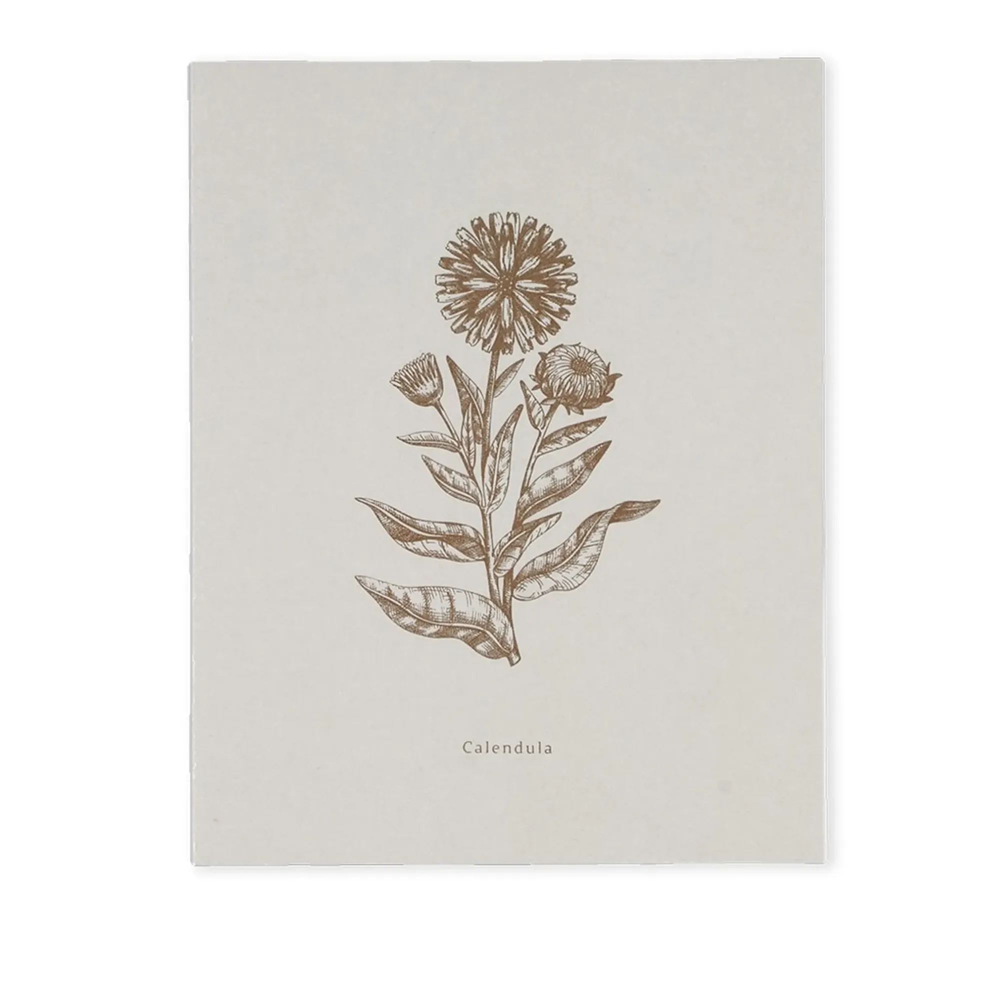 Notizbuch BOOK-CALENDULA (18 x 23)