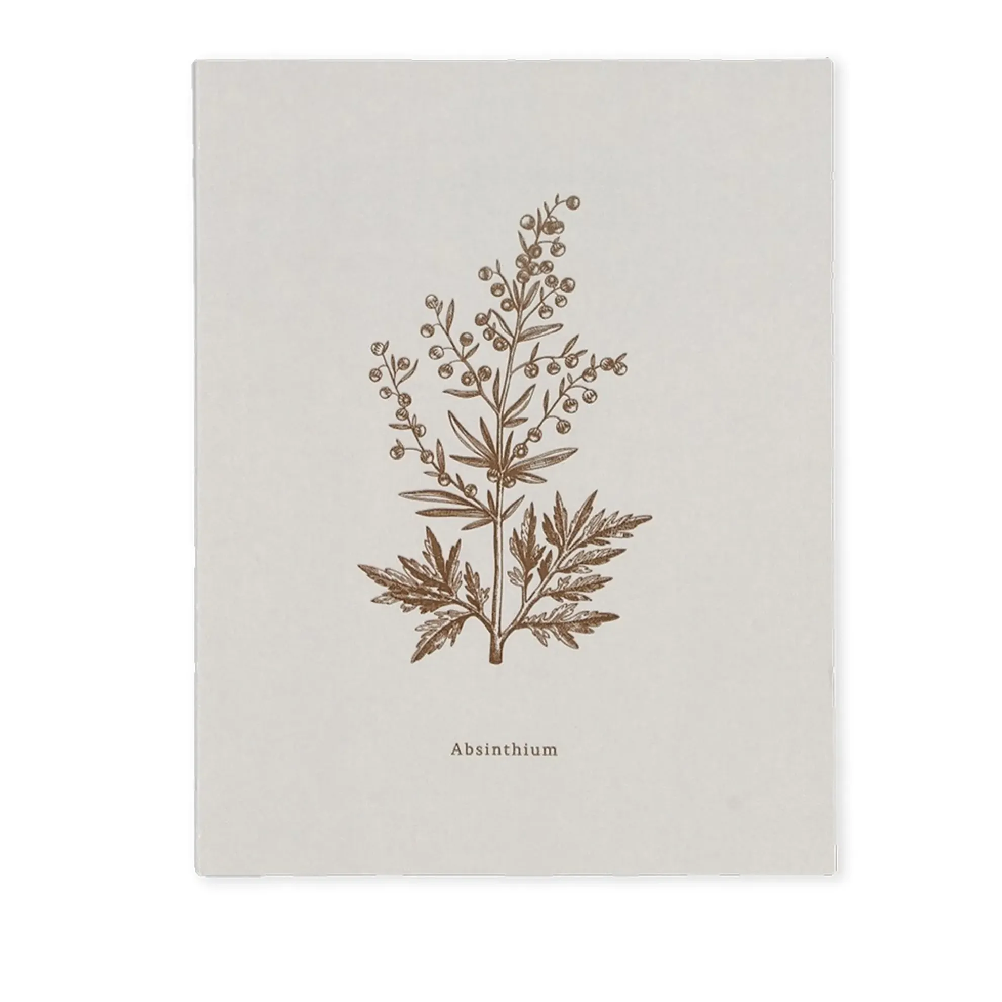 Notizbuch BOOK-ABSINTHIUM (18 x 23)