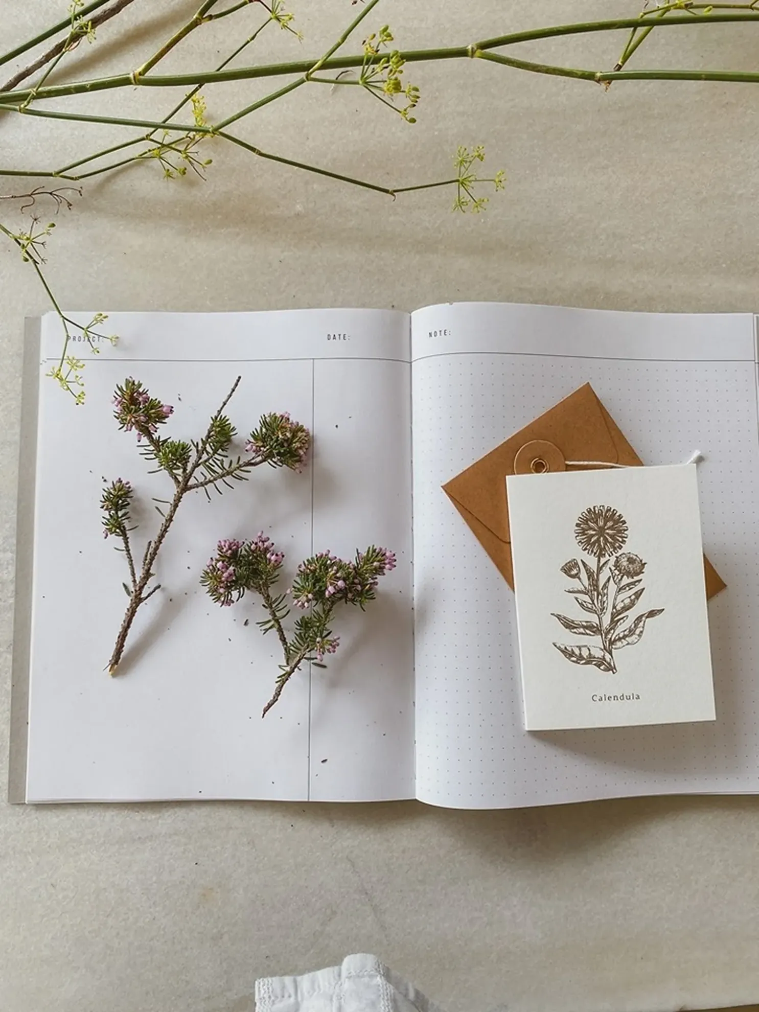 Grüßkarte CARD-CALENDULA-small (9 x 12 )