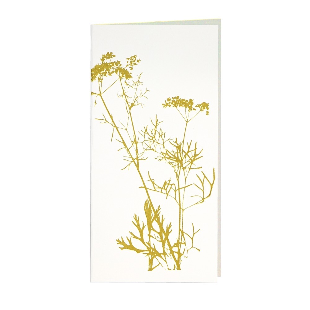 CARD-ANETHUM-DIN-lang