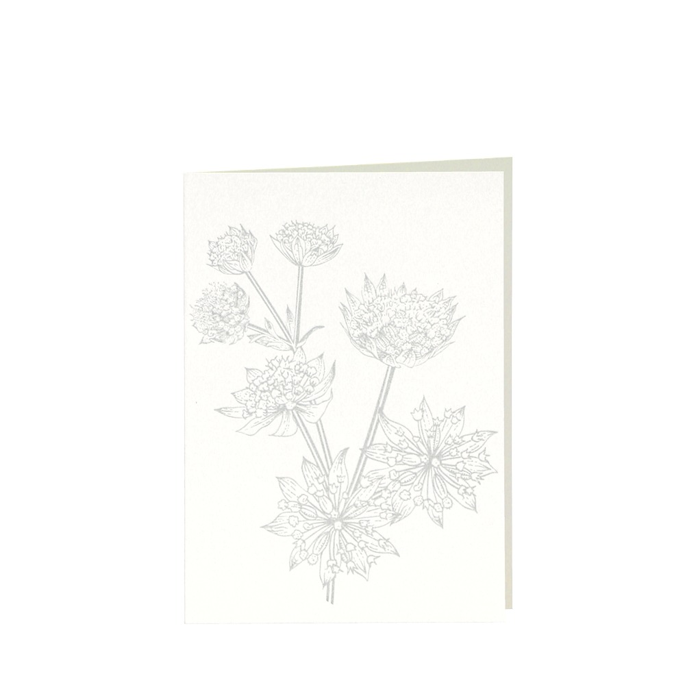 CARD-ASTRANTIA-DIN-B6