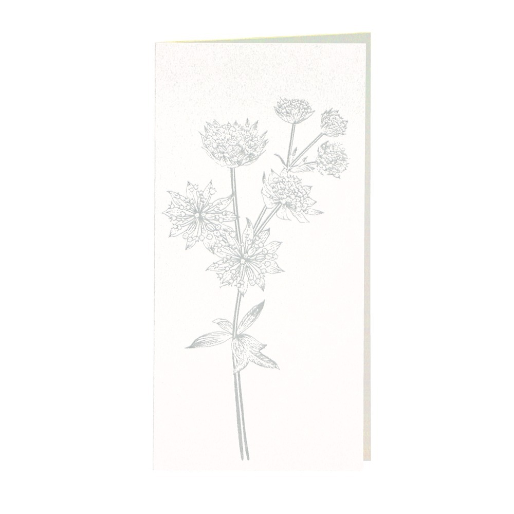 CARD-ASTRANTIA-DIN-lang