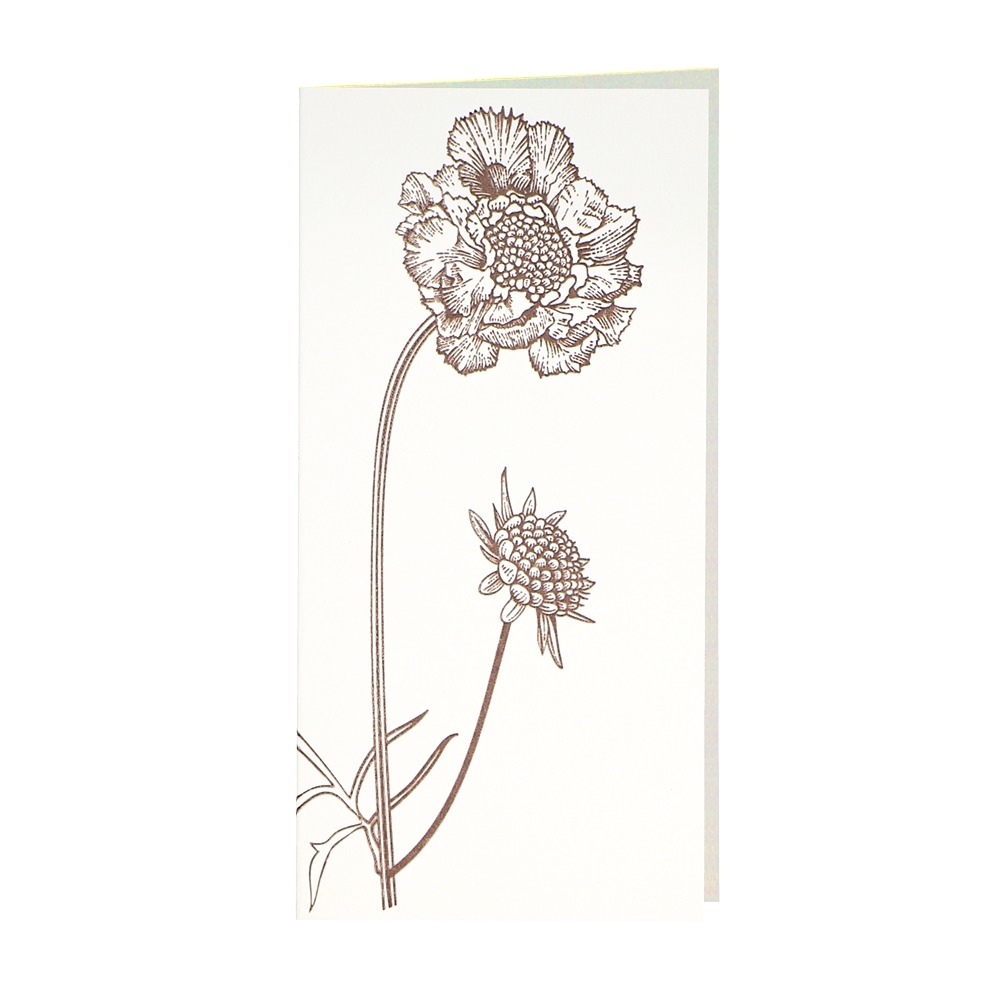 CARD-BLOOMINGSCABIOAS-DIN-lang