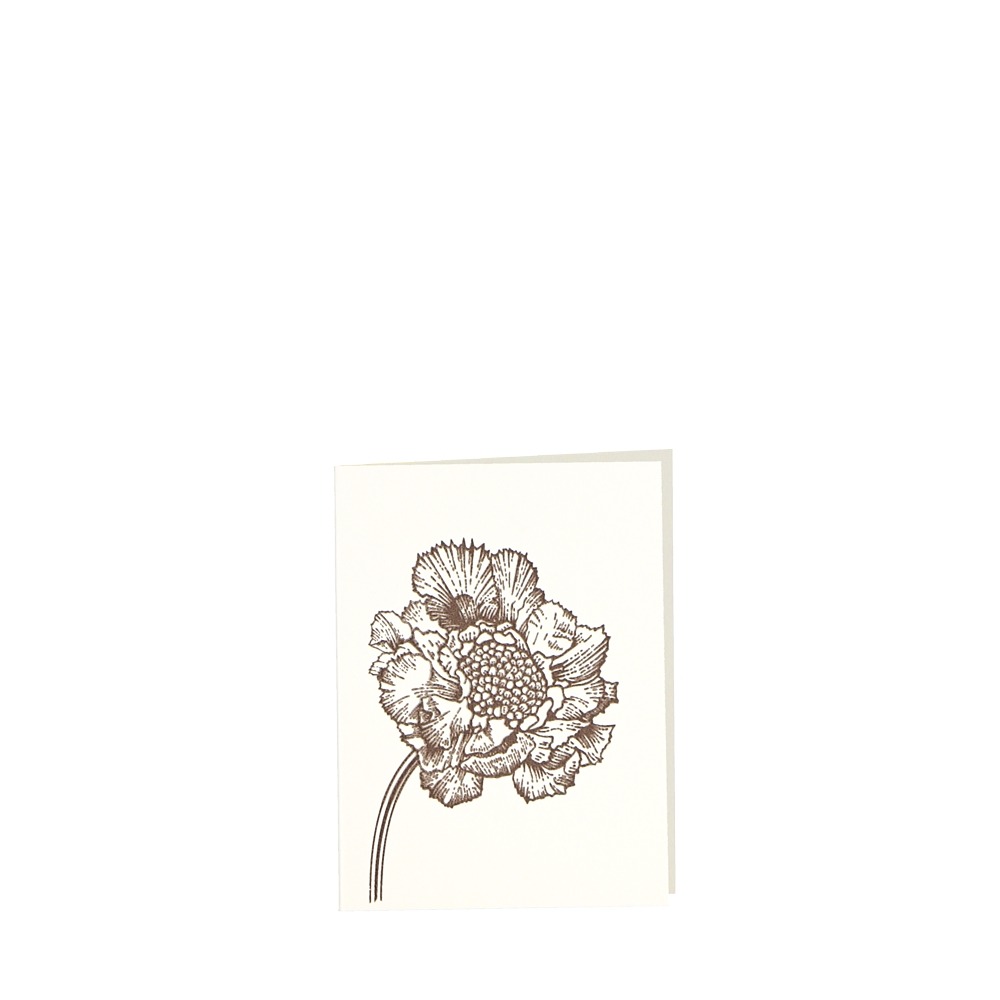 CARD-BLOOMINGSCABIOAS-small