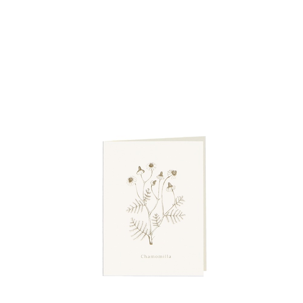 CARD-CHAMOMILLA-small