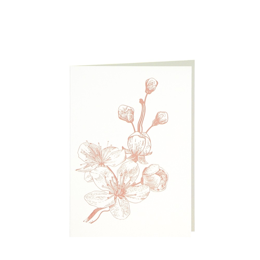 CARD-CHERRY-DIN-B6