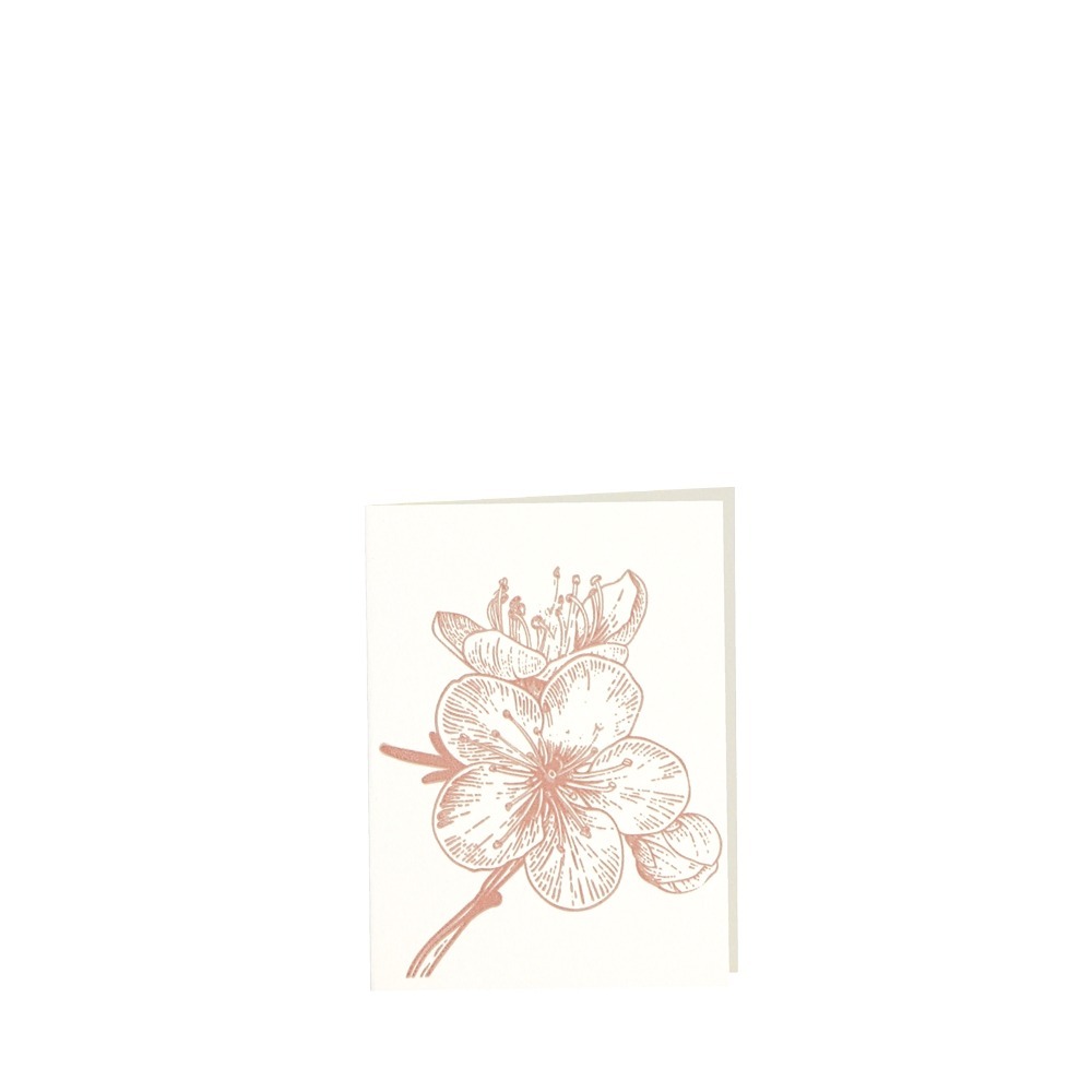 CARD-CHERRY-small