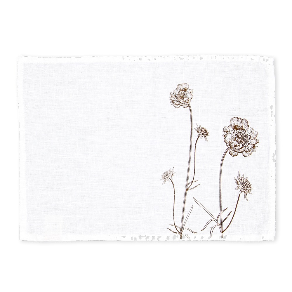 SET-BLOOMINGSCABIOSA