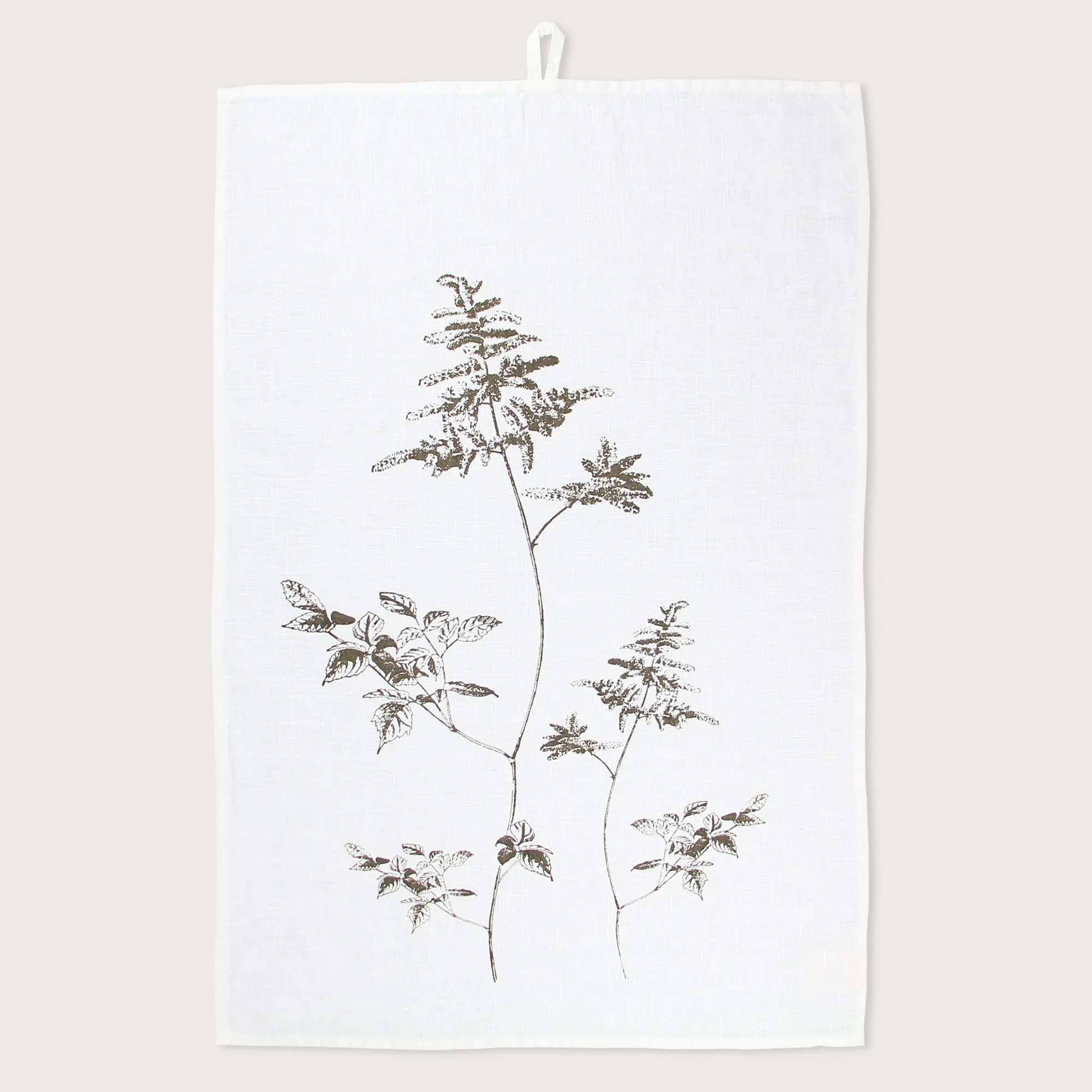 TO-ARUNCUS-w_10_2025