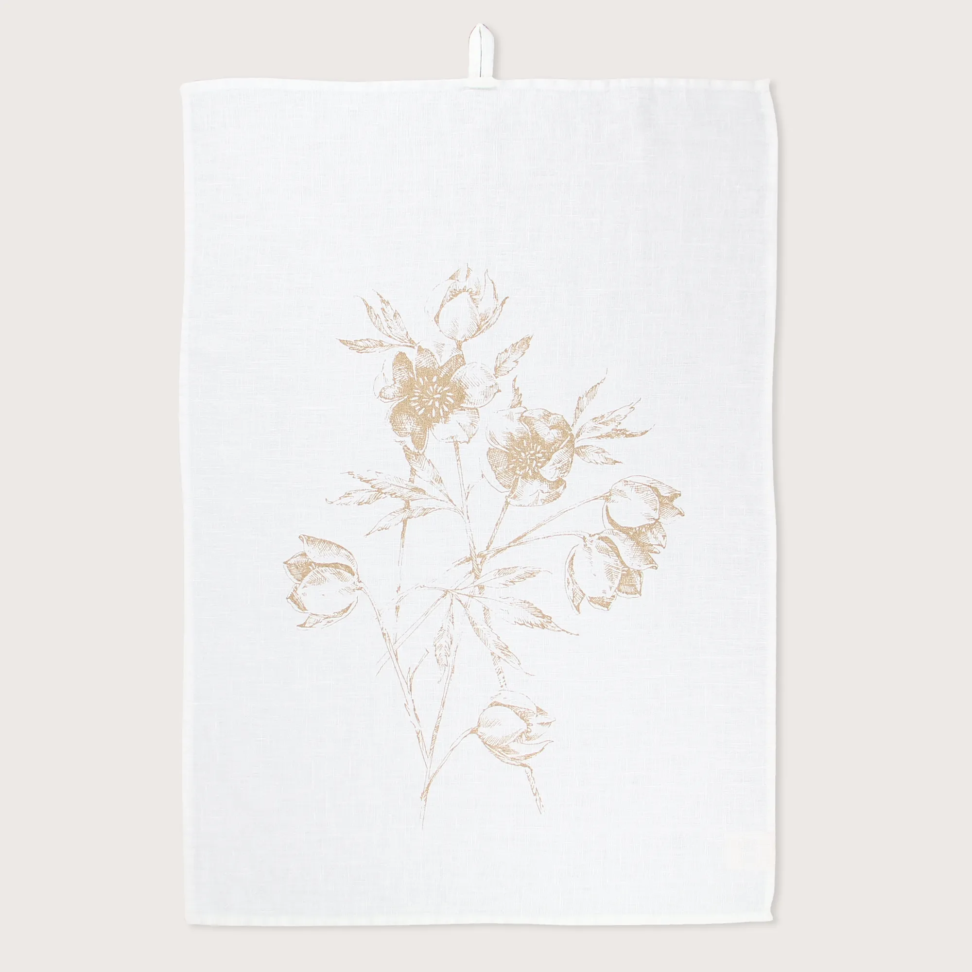 TO-HELLEBORUS-w_10_2025